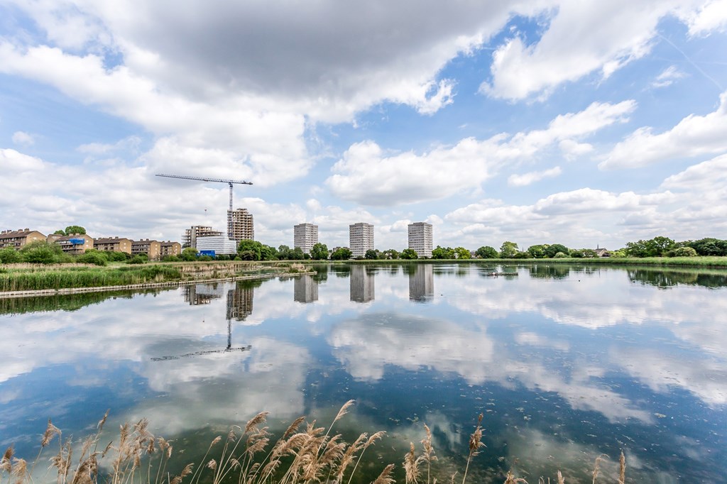 Woodberry Down,Local