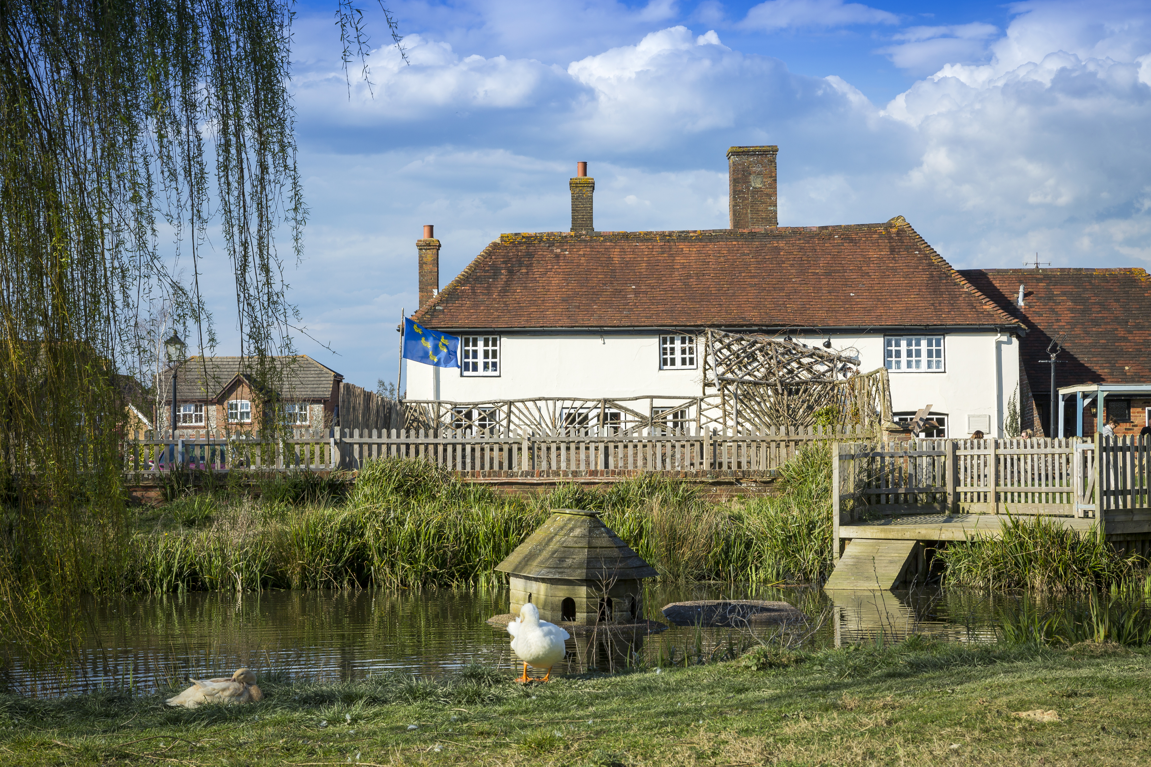 Kings Weald,Local