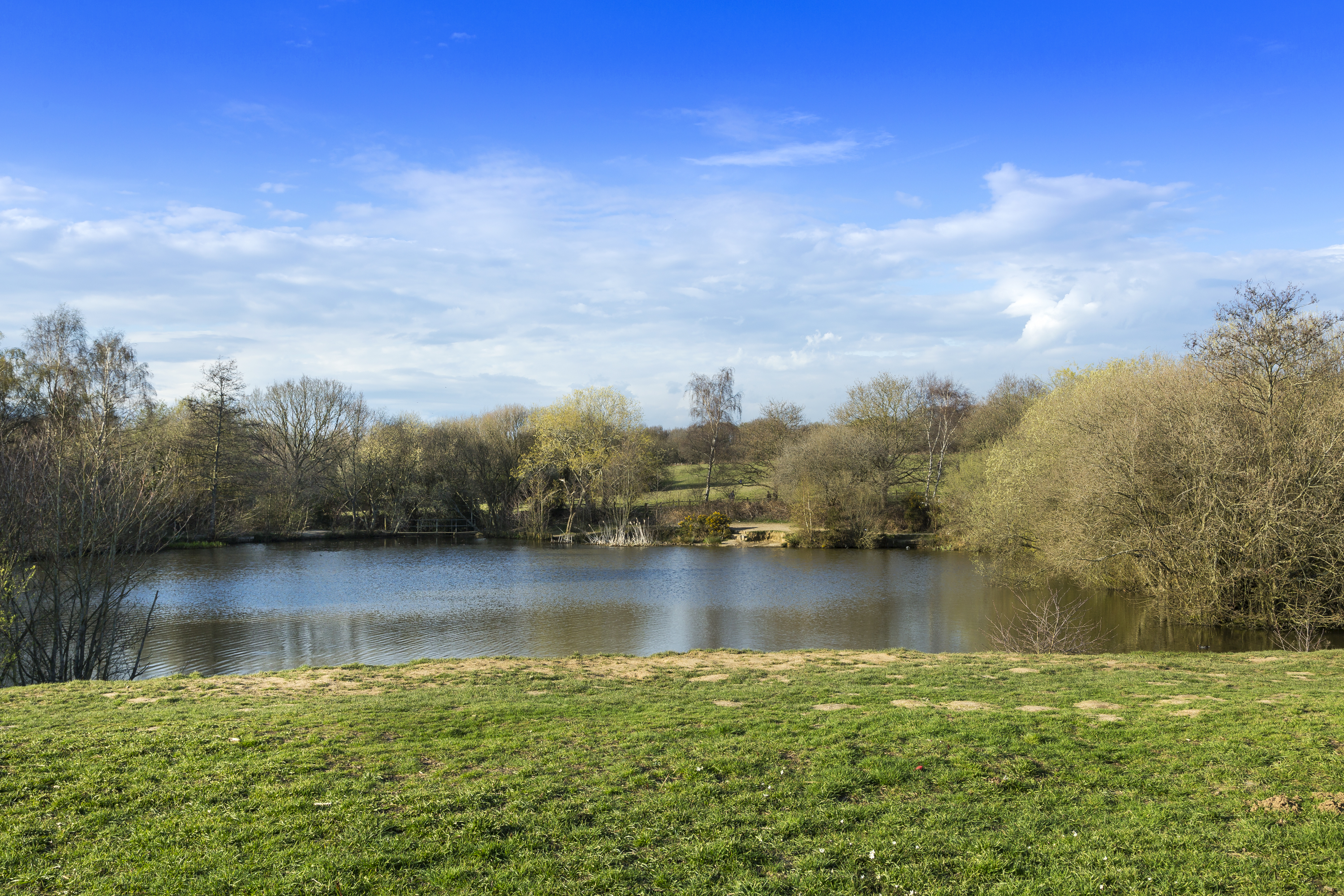 Kings Weald,Local
