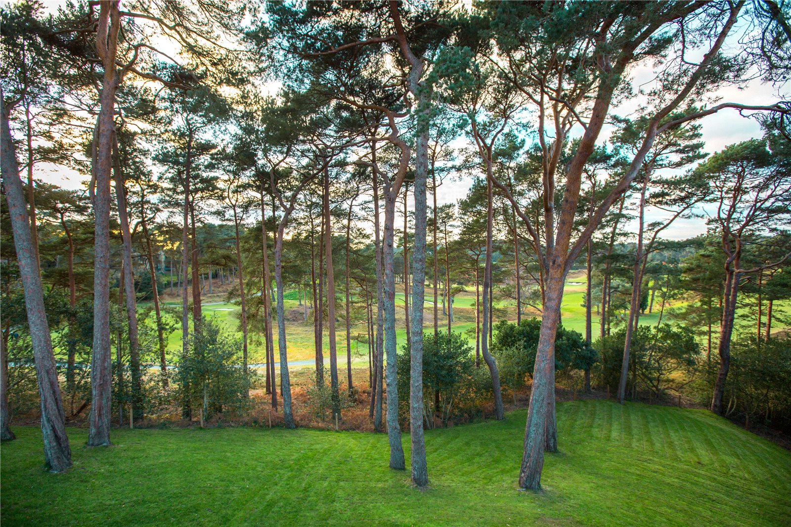 Parkstone Golf Course,View