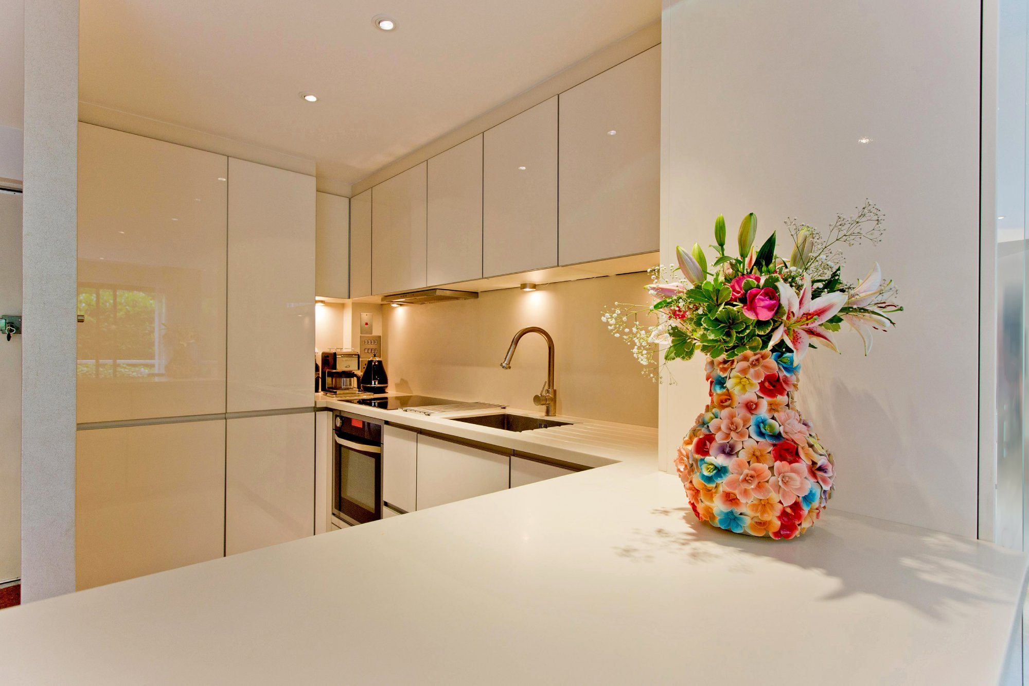 Corian,Kitchen