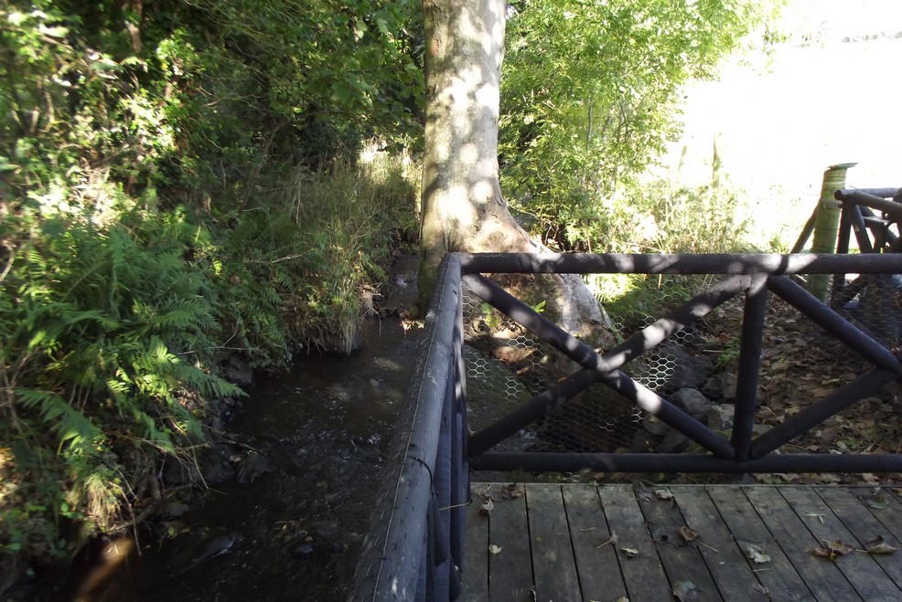 4 bed detached house for sale in Drennan Road, Boardmills, Lisburn BT27