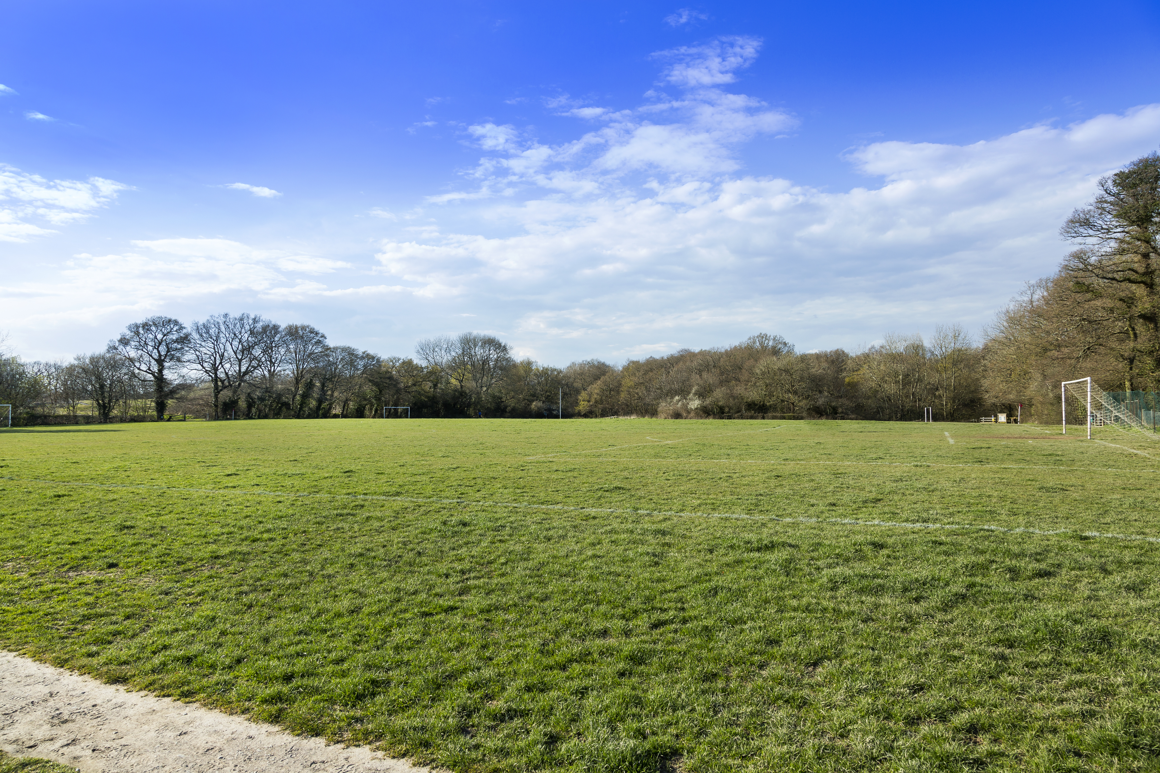 Kings Weald,Local