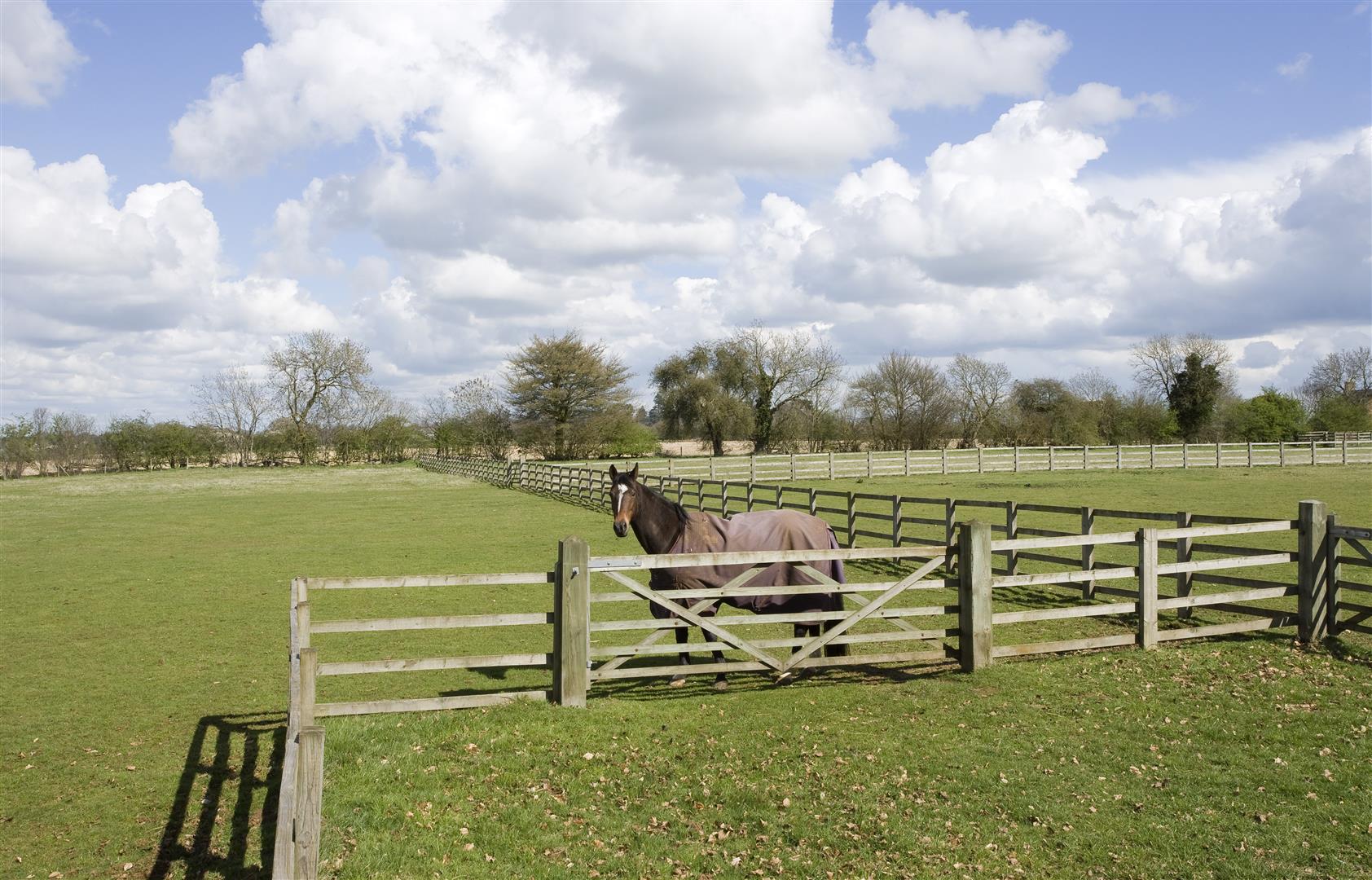 Brampton Lane, Chapel Brampton, Northampton NN6, 9 bedroom detached house for sale 32722602