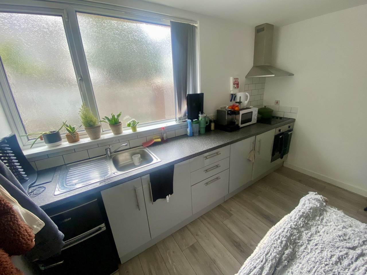 Off Hawthorne Avenue, Uplands, Swansea photo 4