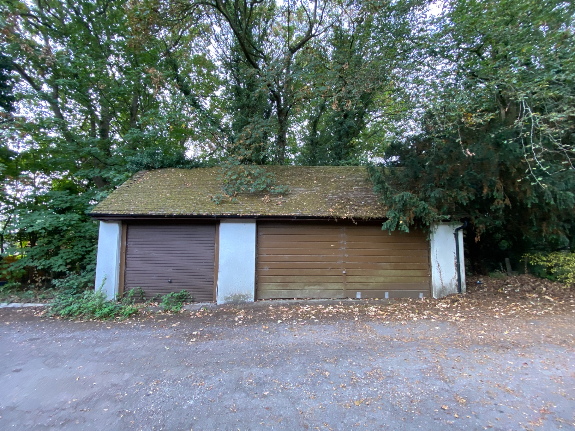 Double Garage, Copper Beech Close photo 5