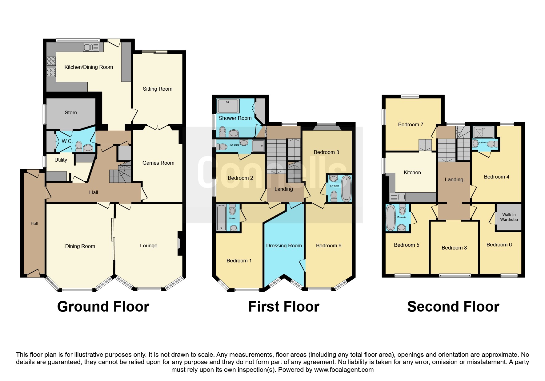 18, Morgan Avenue, Torquay floorplan