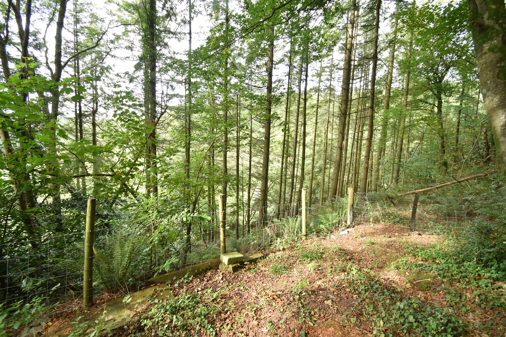 Photos of Llangranog Road, Rhydlewis, Llandysul SA44 62573875