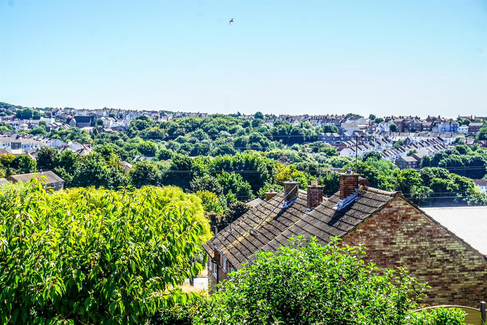 Photos of Pine Avenue, Hastings TN34 62165388 PrimeLocation