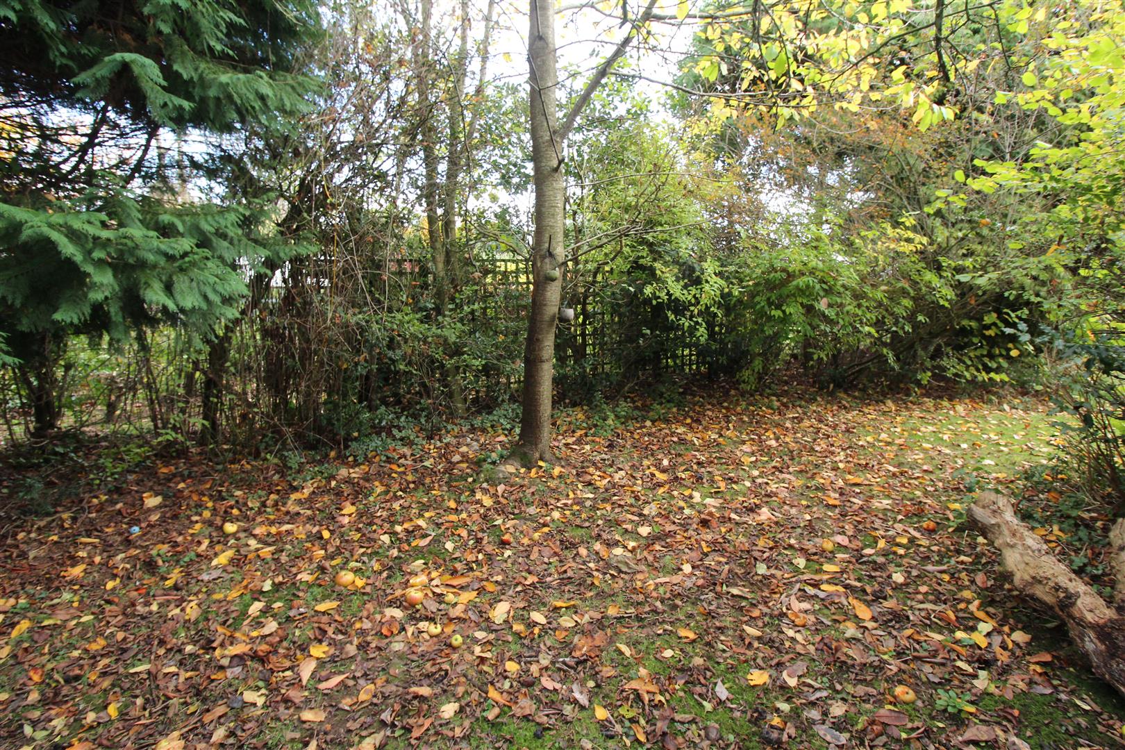 Free property report 8 Brayford Avenue, Coventry, CV3 5BS Chimnie