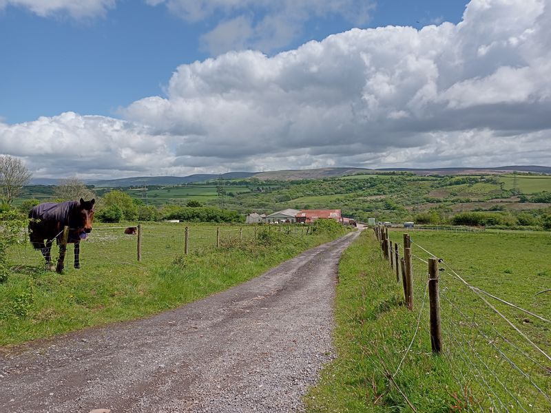 Photos of Llanedi, Pontarddulais, Swansea SA4 61853577 PrimeLocation