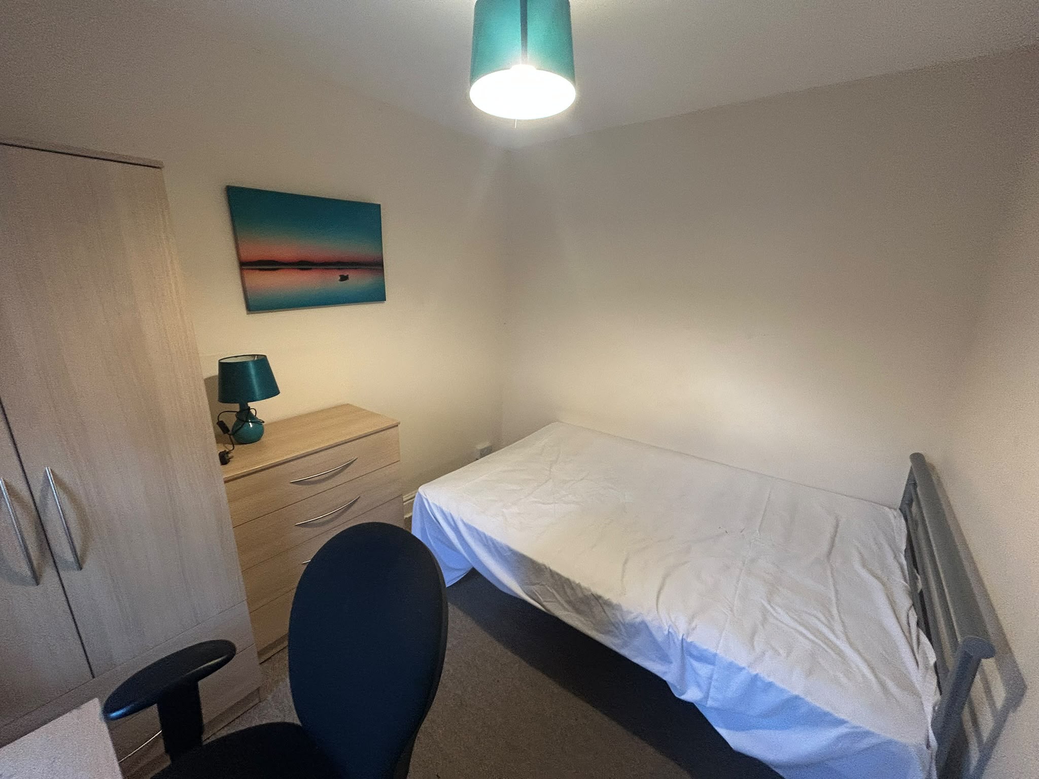 Bryn Syfi Terrace, Swansea photo 4