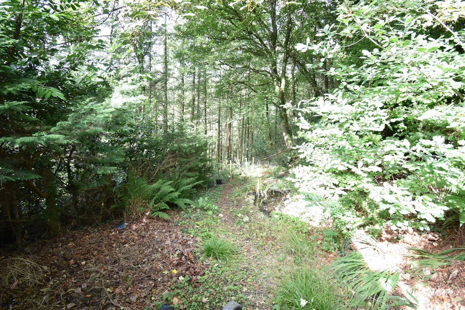 Photos of Llangranog Road, Rhydlewis, Llandysul SA44 62573875