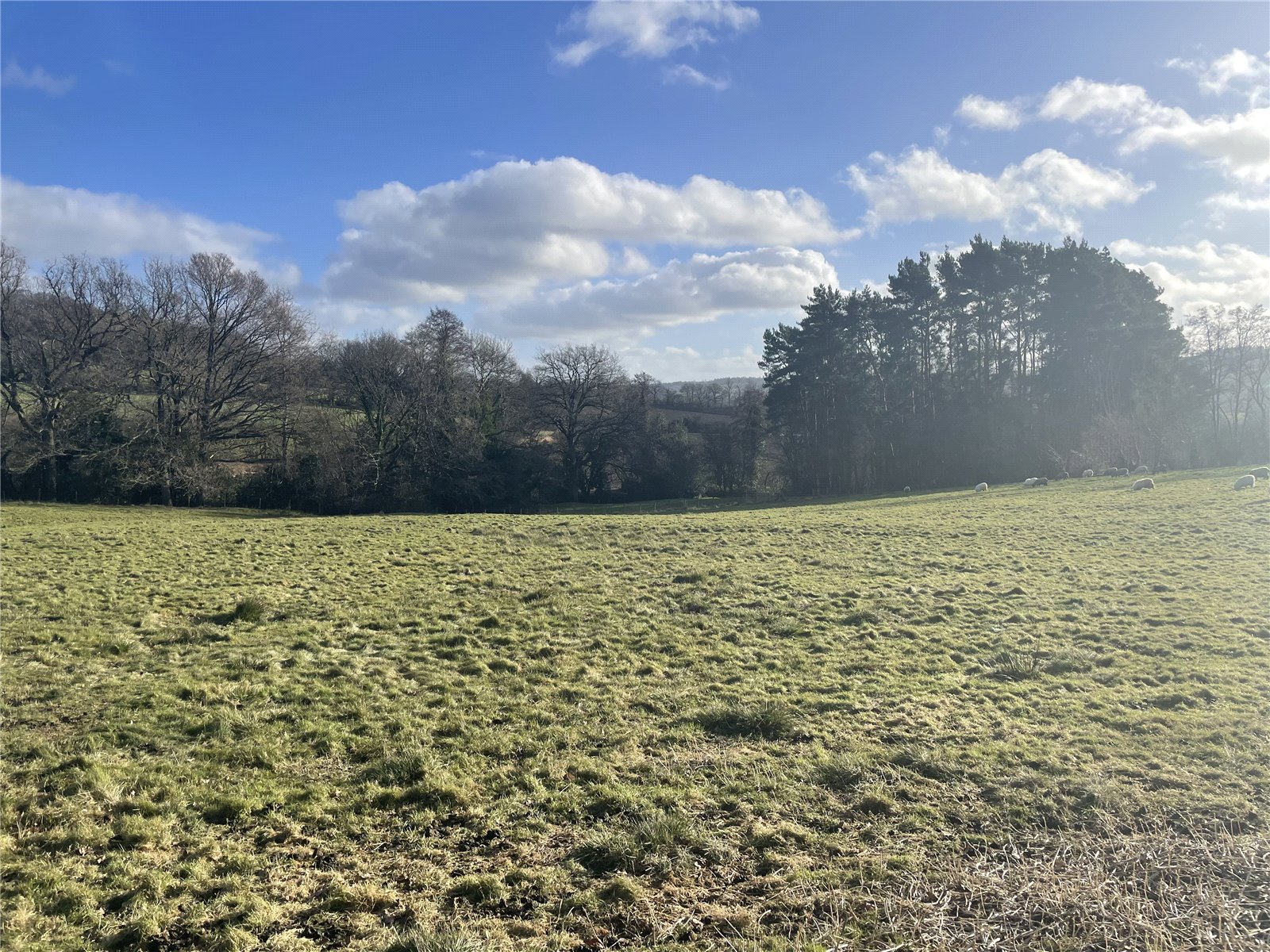 Photos of Land South Of Llanerch Farm, Churchstoke, Montgomery, Powys ...