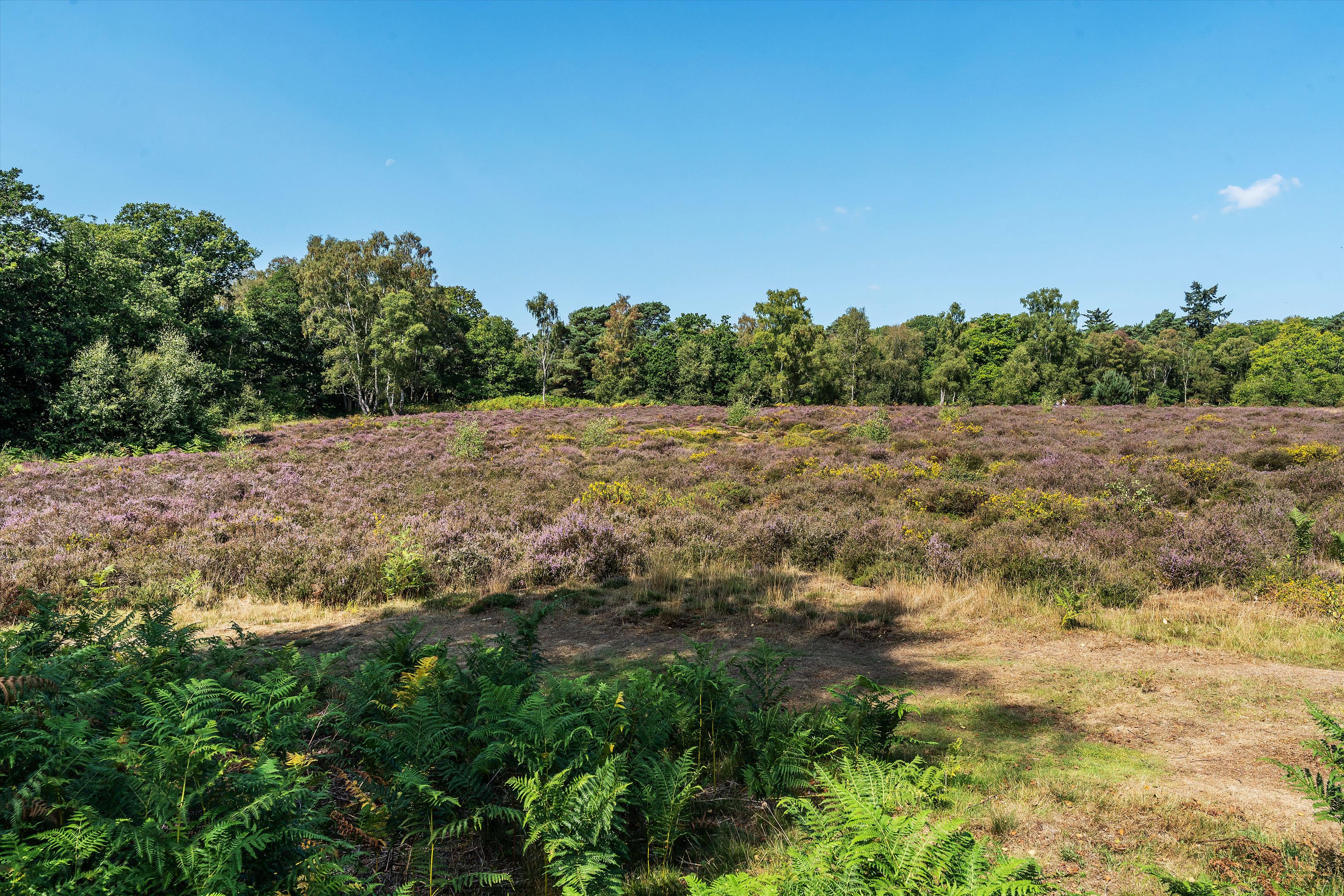 4 bedroom cottage for sale 0