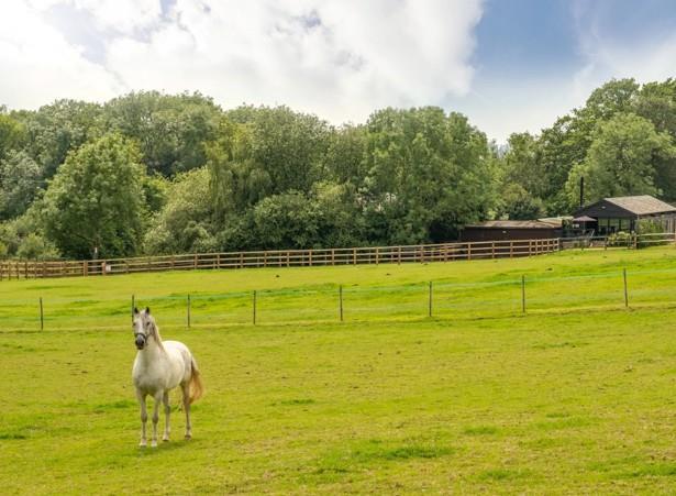 The Haybarn, Ockley Road, Cranleigh photo 4