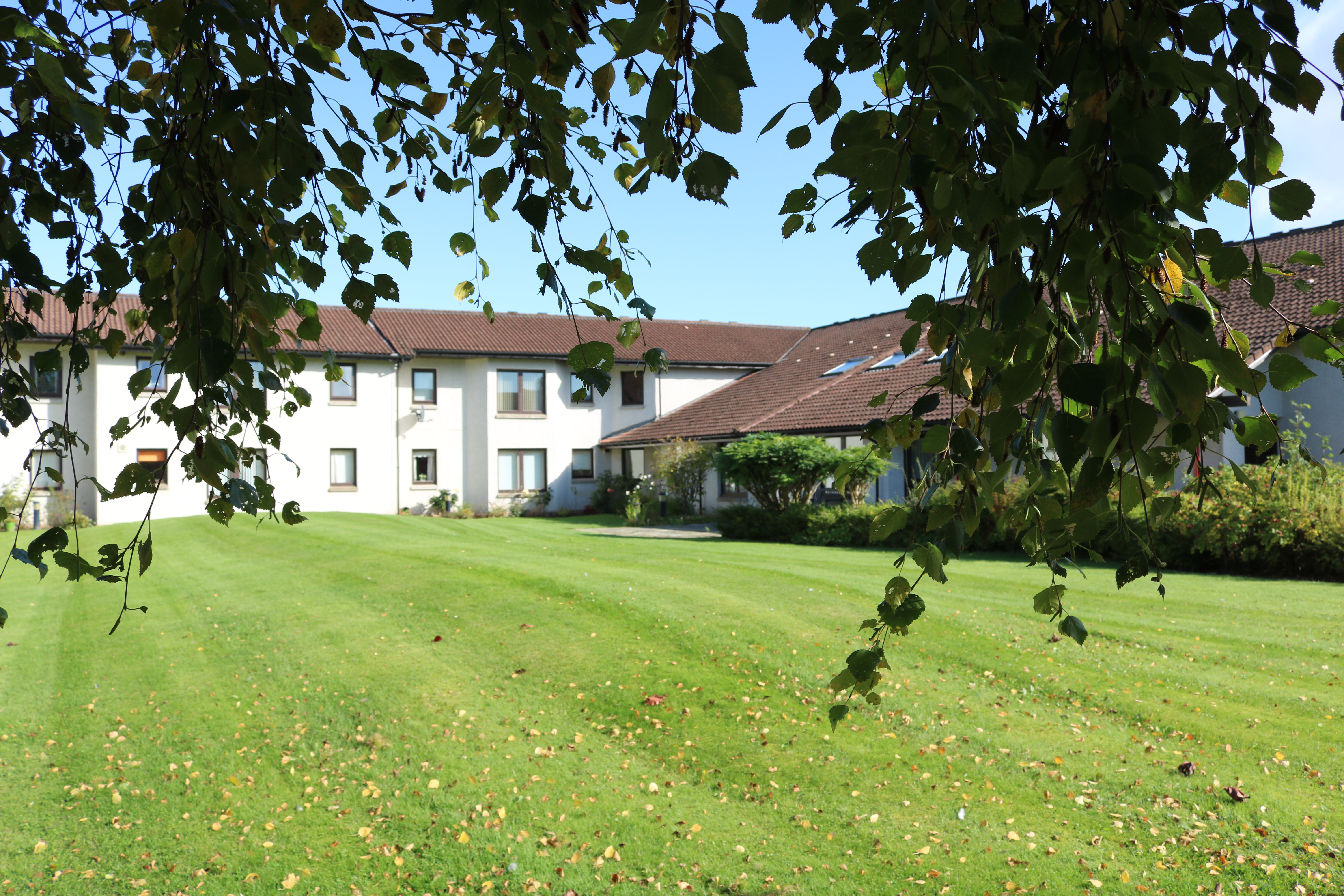 Cluny Court, Blairgowrie, Blairgowrie photo 4