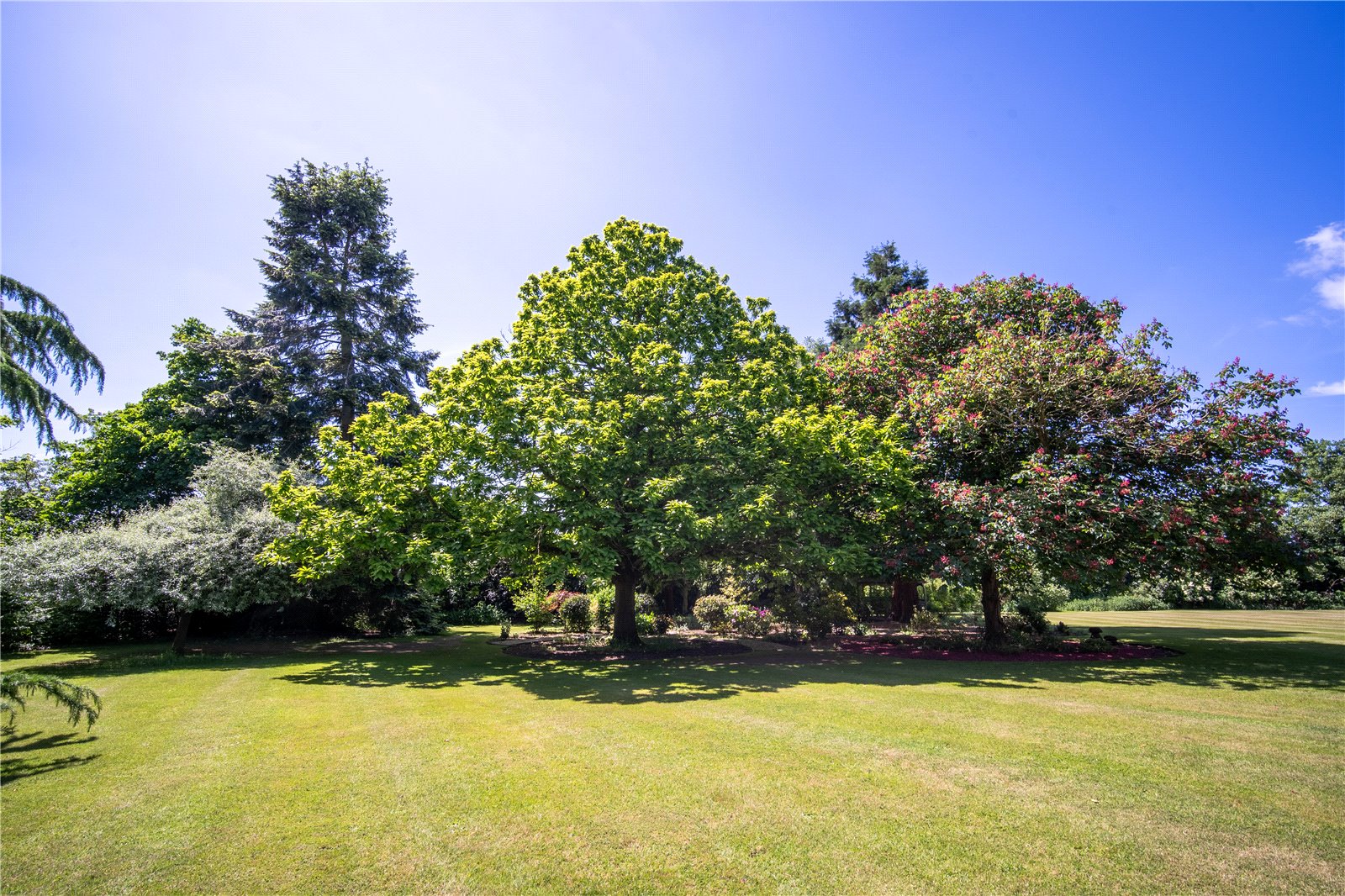 Photos of Coles Oak Lane, Dedham, Colchester CO7 61861700 PrimeLocation