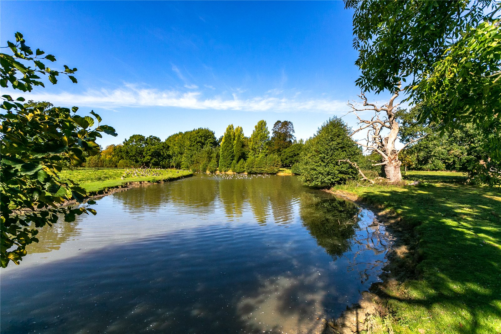 Photos of Sheriff Hutton Park Estate, Sheriff Hutton, York YO60 ...