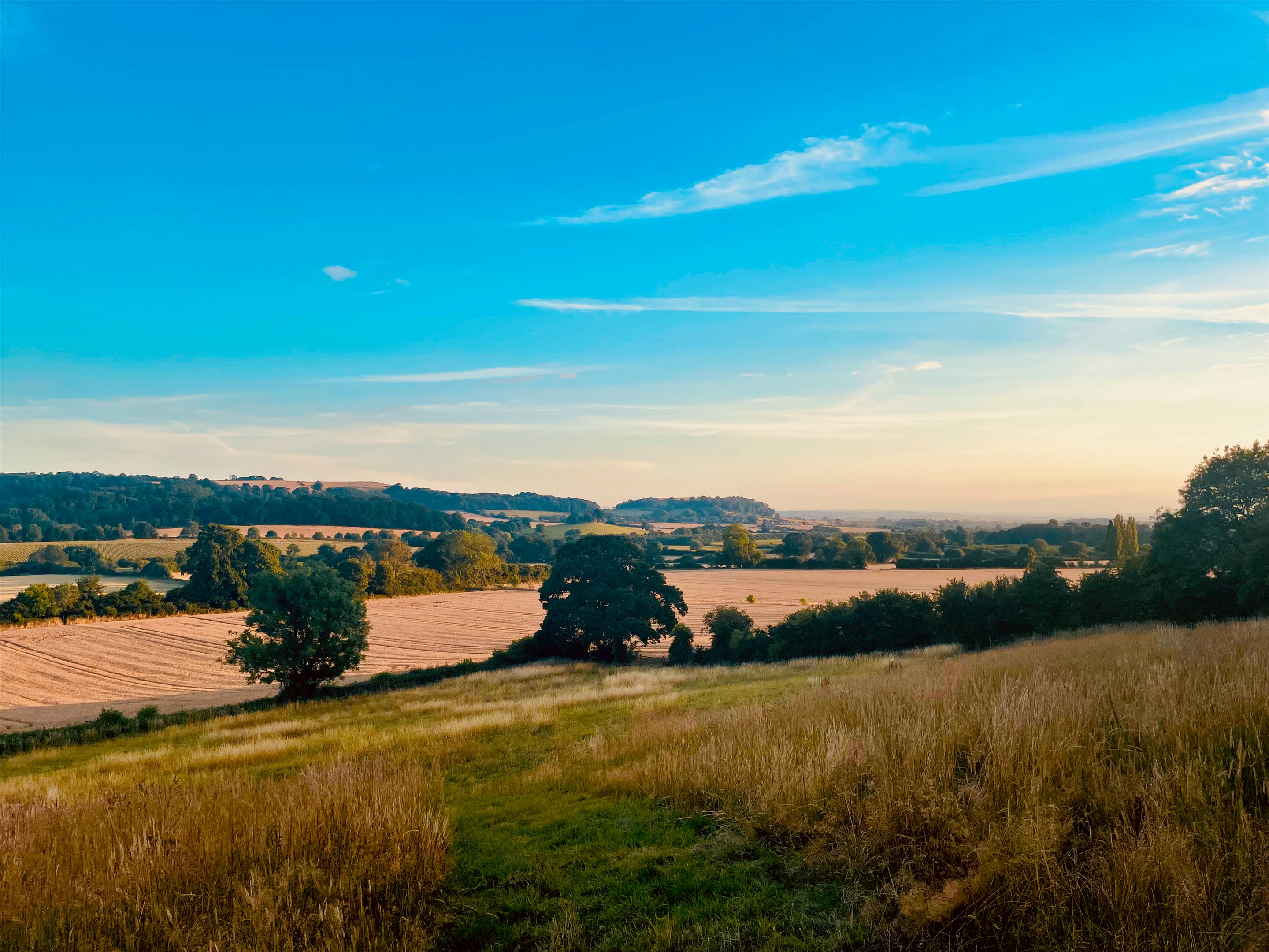 Photos of Woolston, North Cadbury, Yeovil, Somerset BA22 66531146