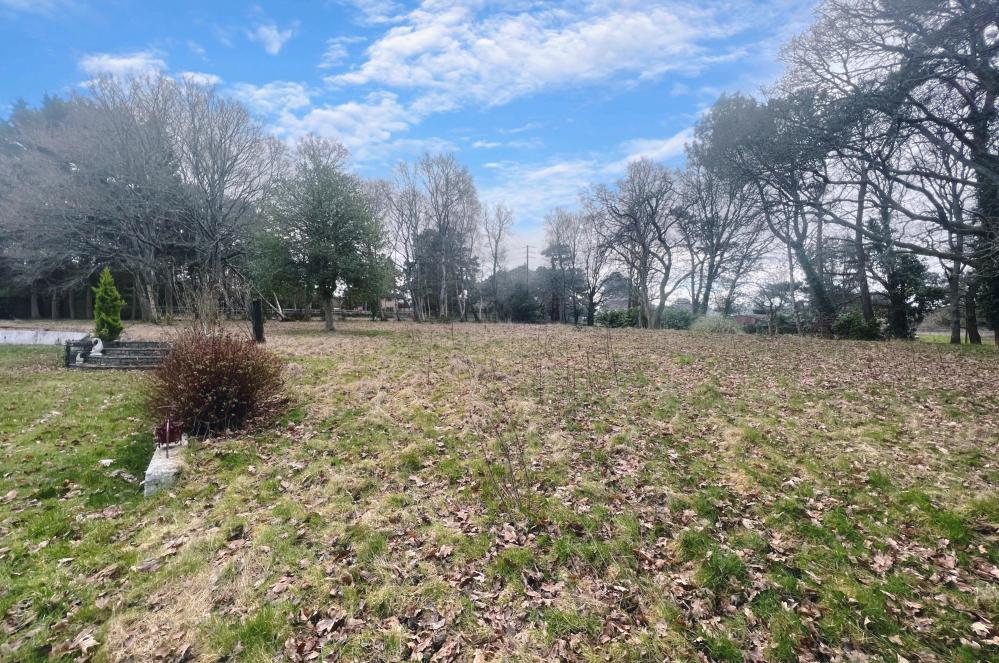 Photos of Boundary Lane, St Leonards BH24 64181244 PrimeLocation