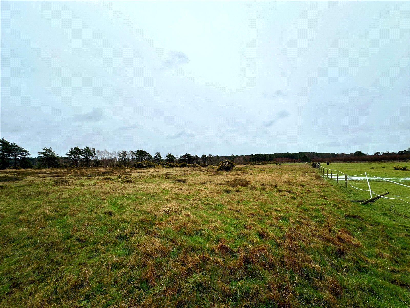 Photos of Foxbury Road, St. Leonards, Ringwood BH24 67034747