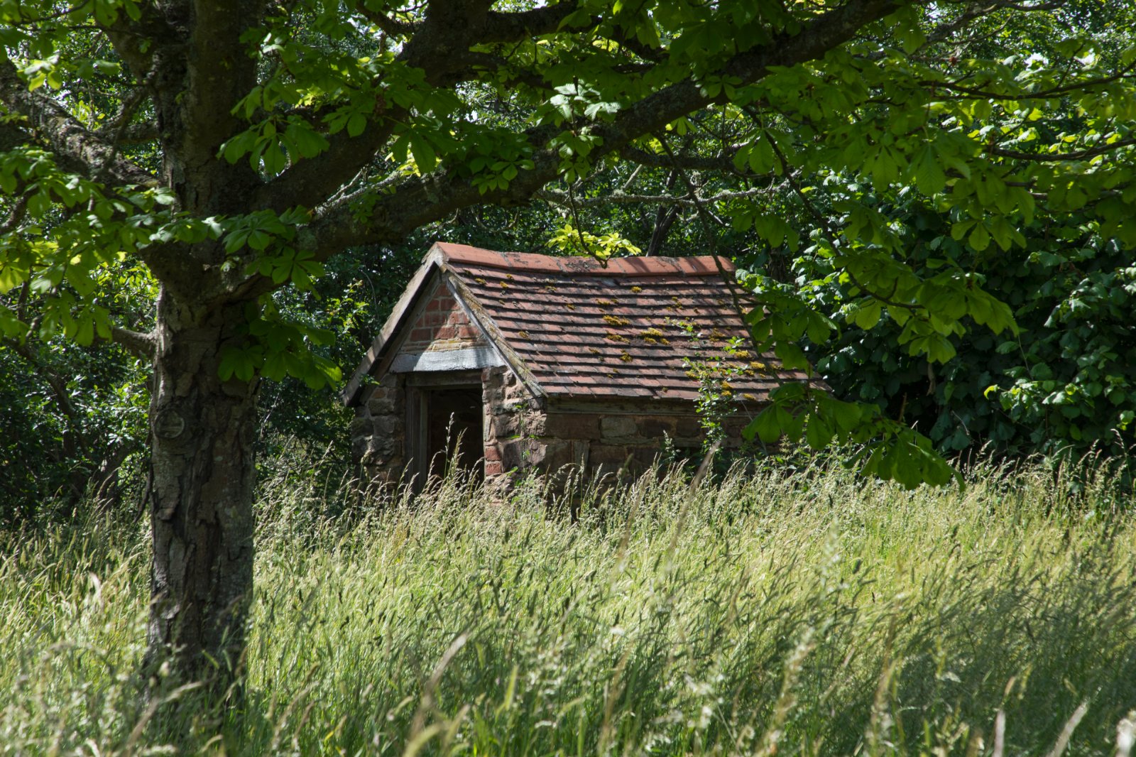Photos of Upton RossOnWye, Herefordshire HR9 64515630