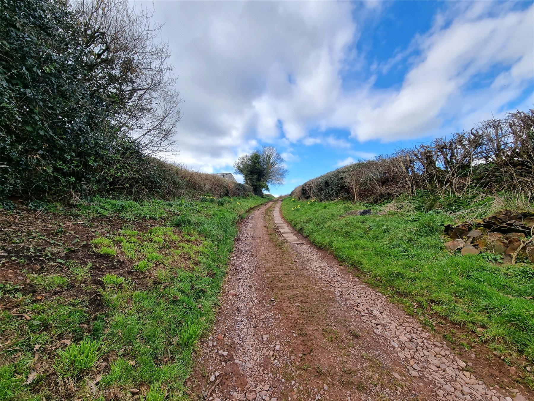 Photos of Knowle, Cullompton EX15 63506131 PrimeLocation