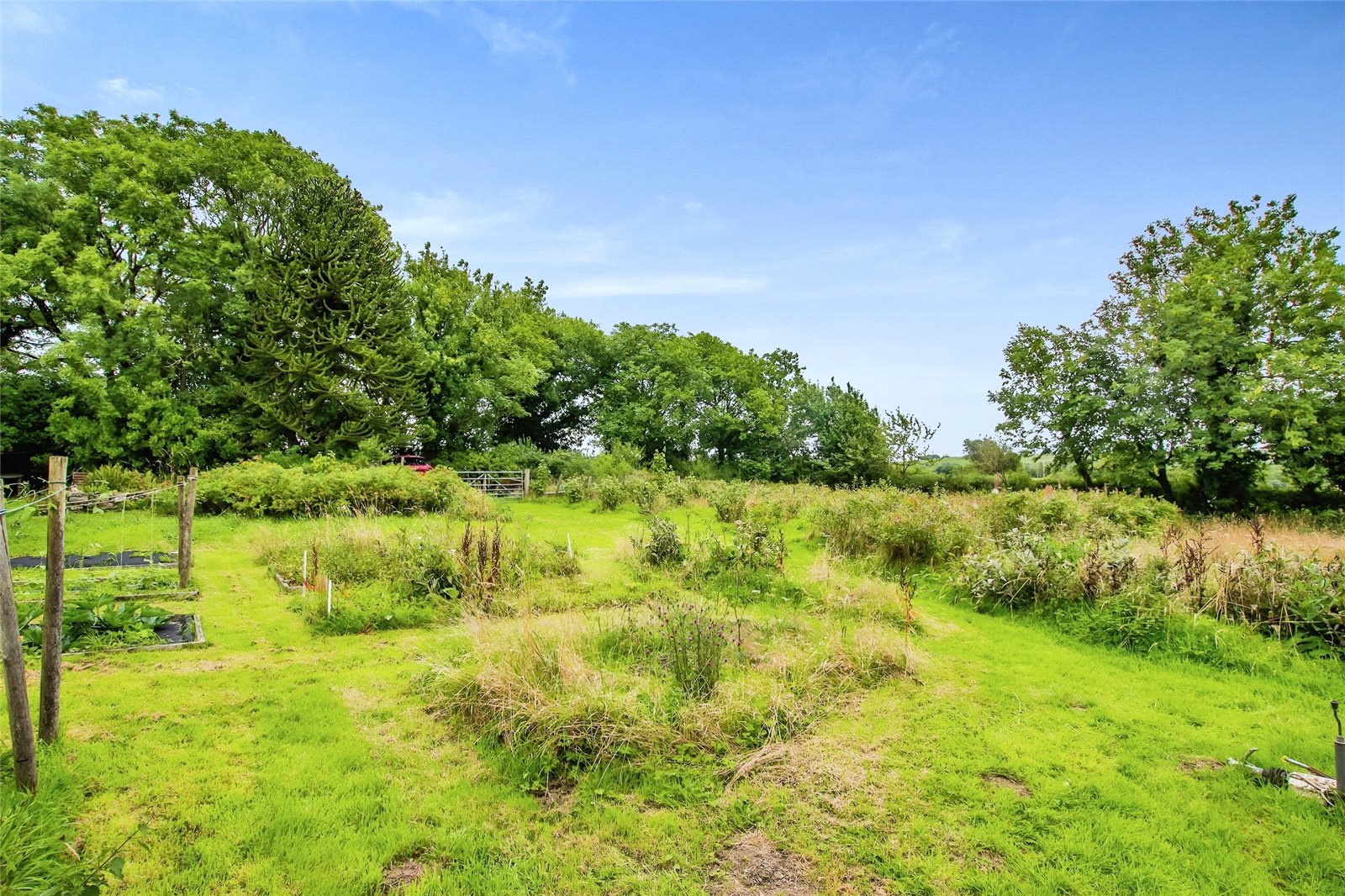 Photos of Trefenter, Aberystwyth, Ceredigion SY23 65440920