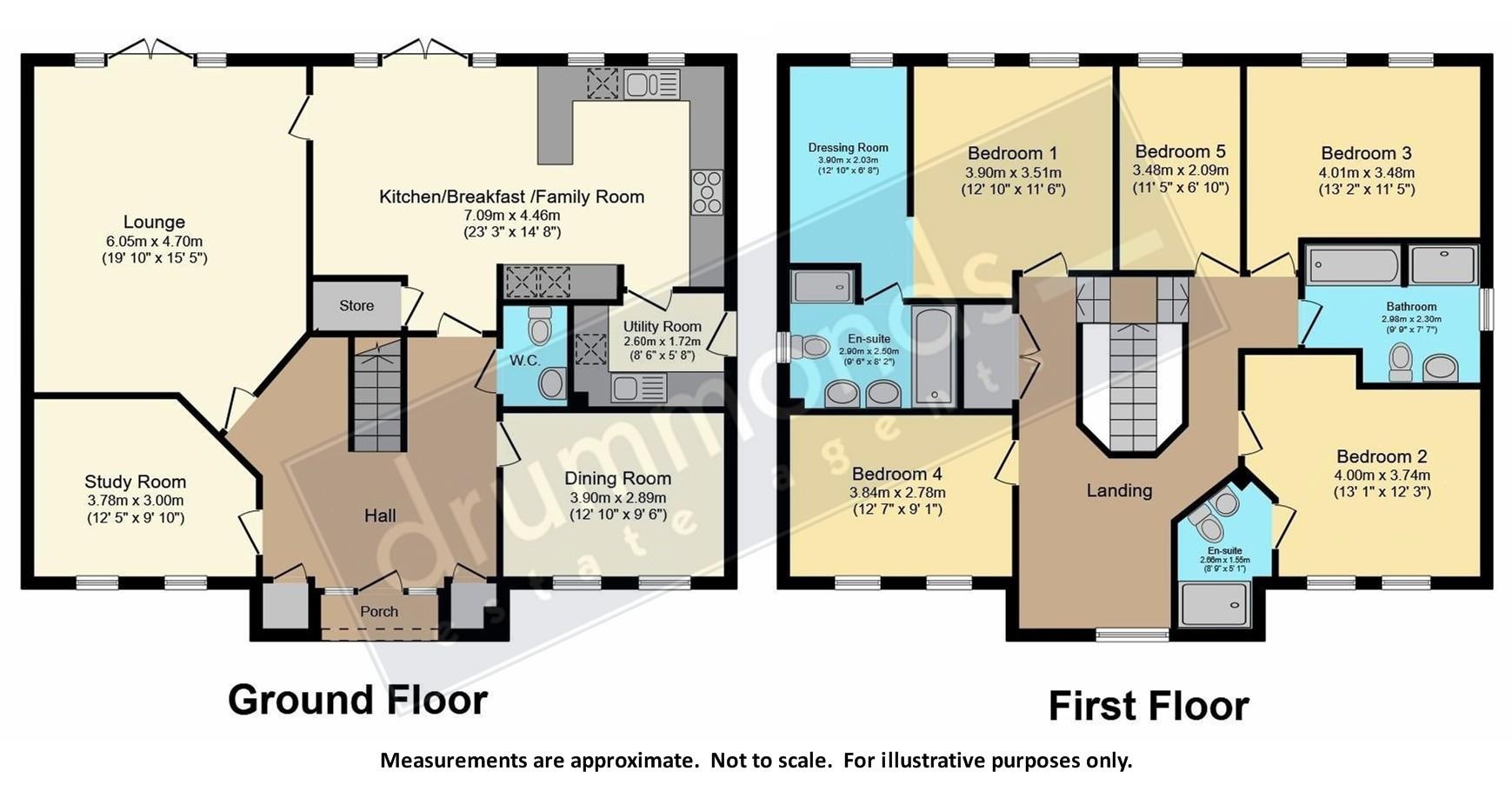 5, Nuthatch Close, Wynyard floorplan
