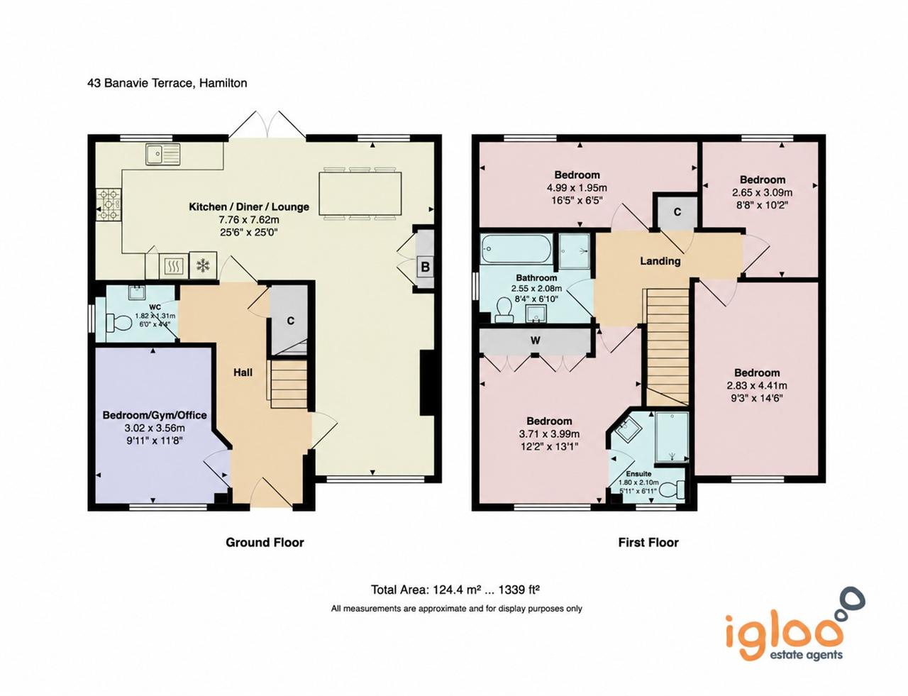 43, Banavie Terrace, Hamilton floorplan