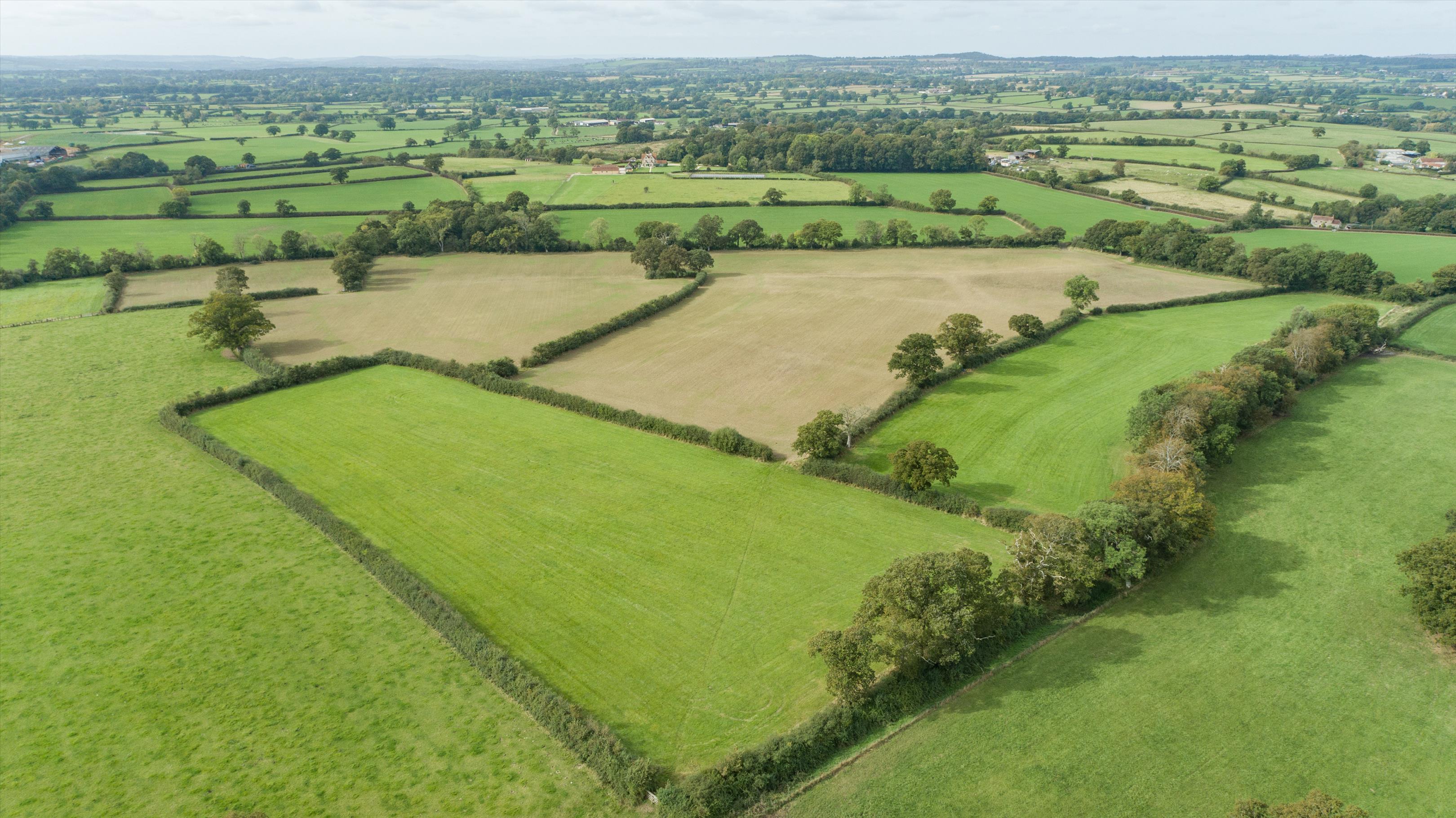 Photos of Holwell, Sherborne, Dorset DT9 64391800 PrimeLocation