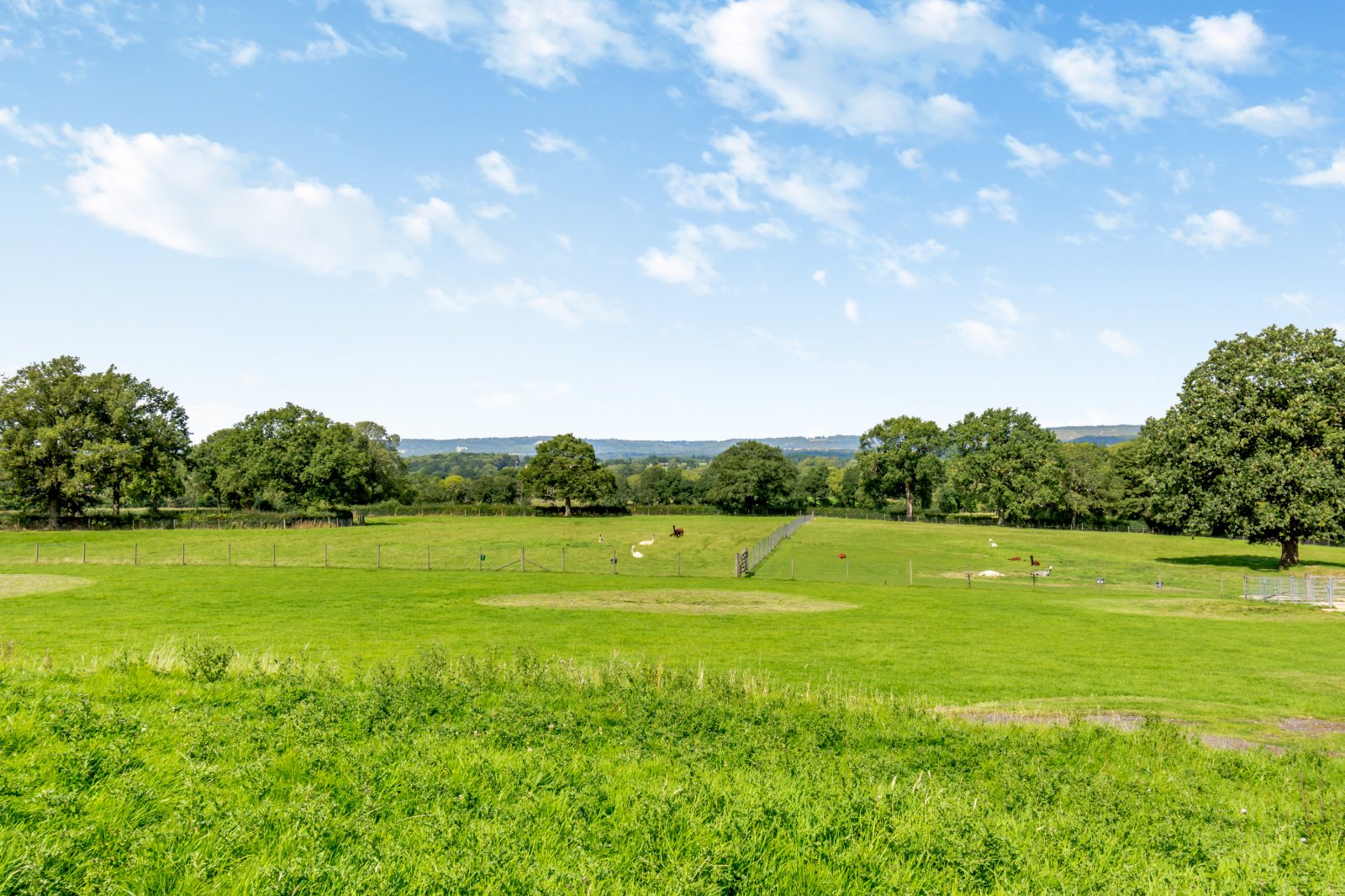 Photos of Norwood Hill, Horley RH6 66564091 PrimeLocation