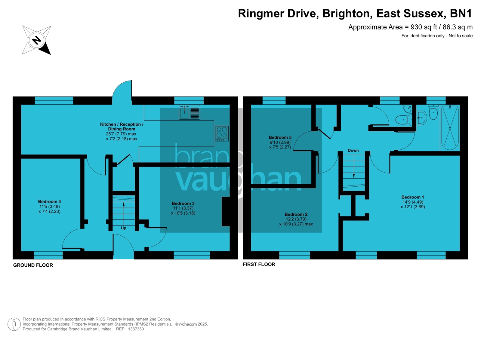 29x, Ringmer Drive, East Sussex floorplan