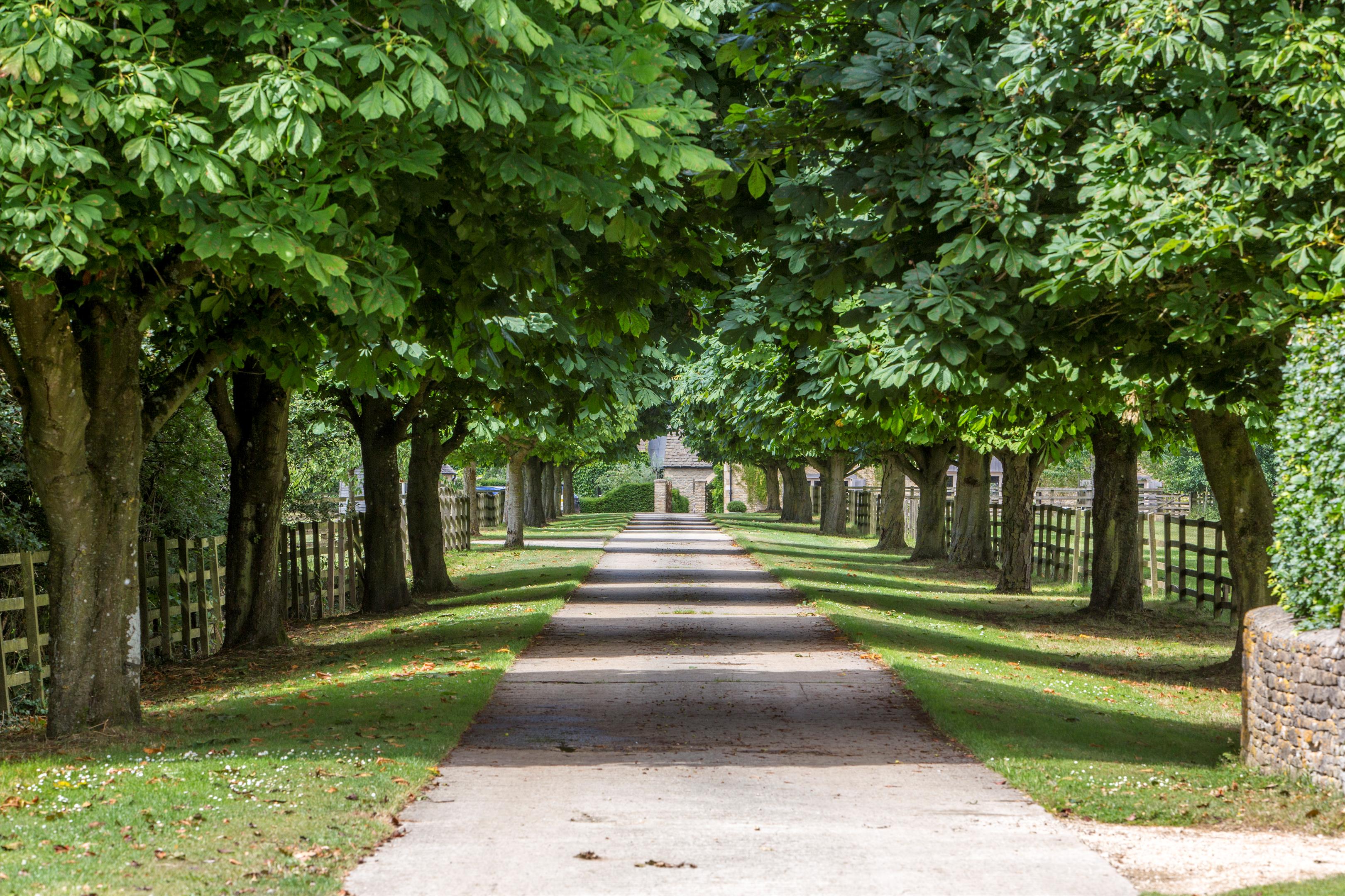 8 bedroom farm for sale 0