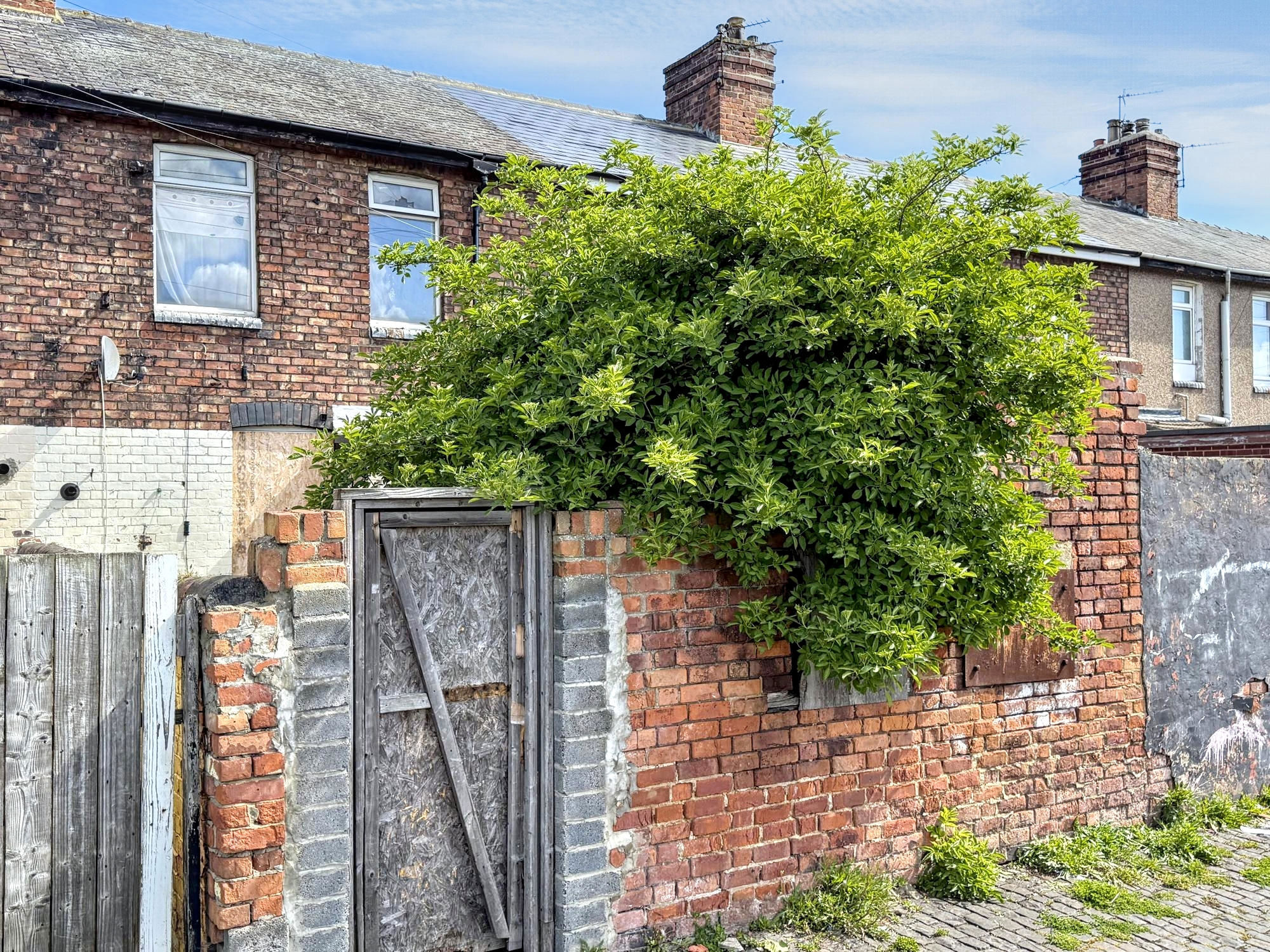 165, West View Road, Hartlepool photo 4