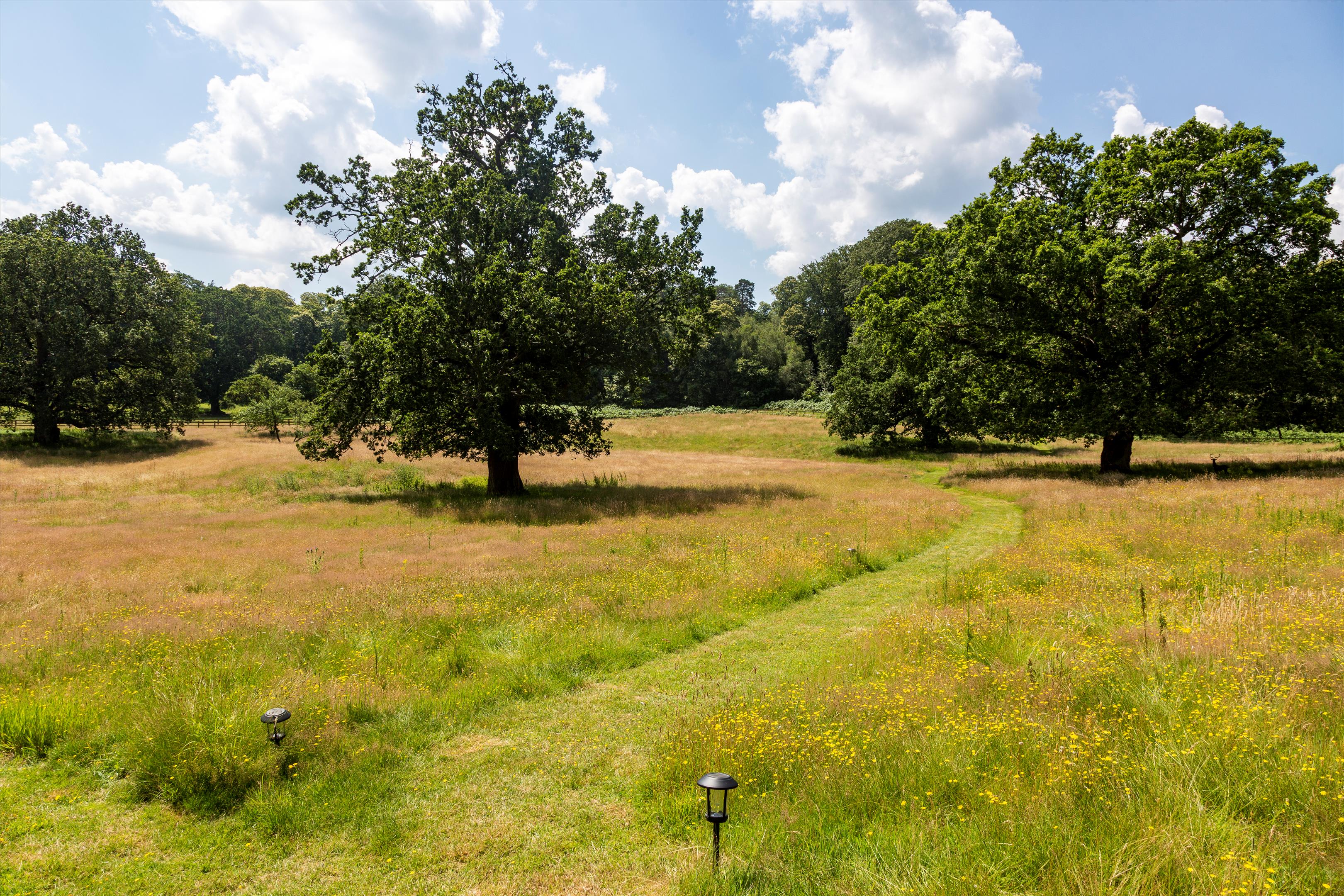 Photos of Fernhill Road, Blackwater, Surrey GU17 64490068 PrimeLocation
