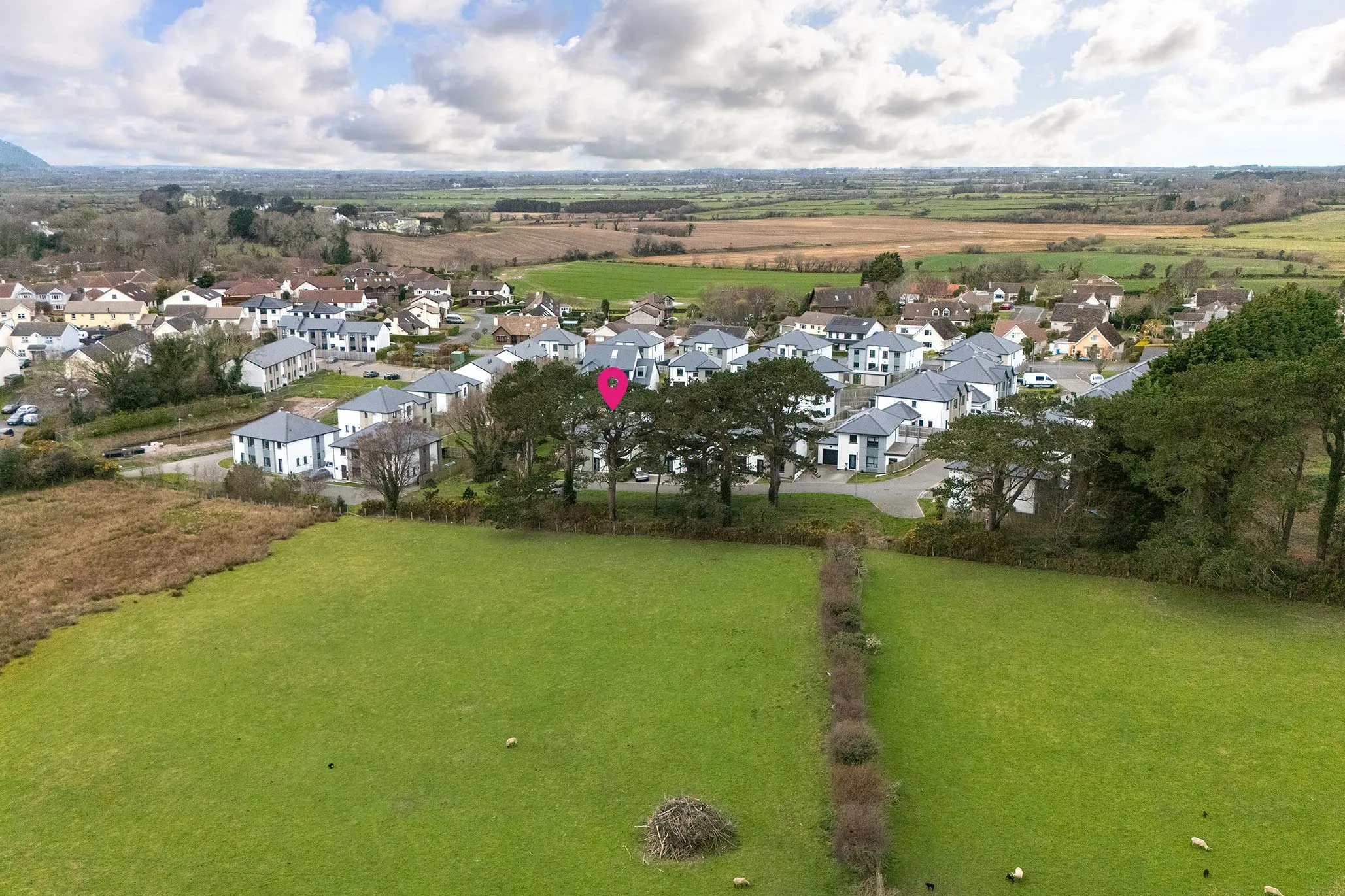31, Gibbs Grove, Ramsey photo 4