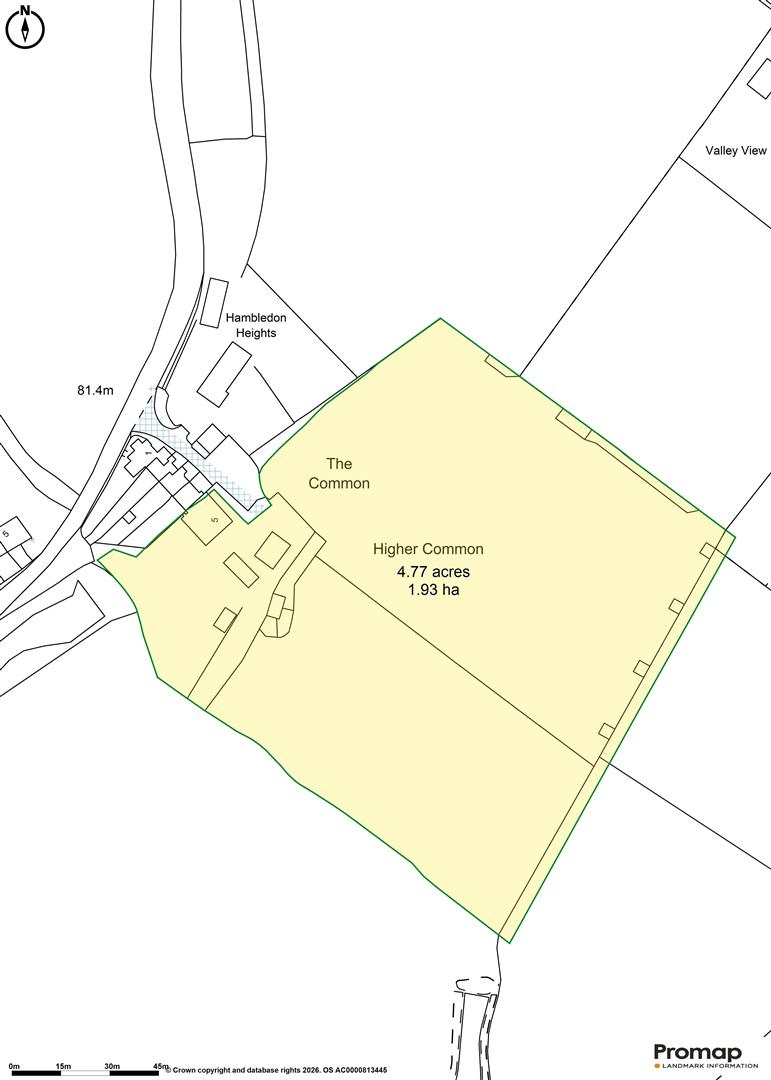 5, Higher Common, Blandford Forum floorplan