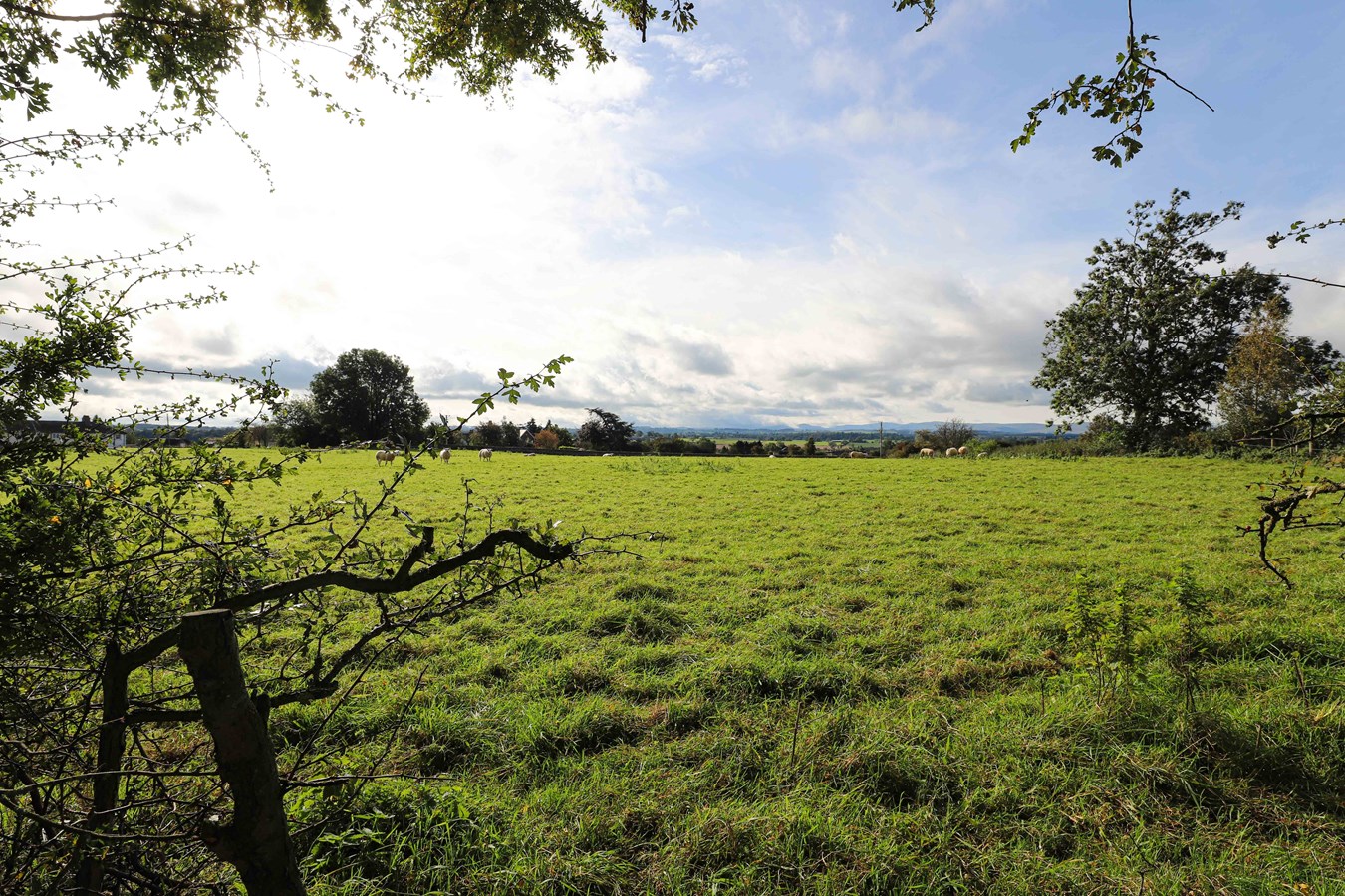 Photos of Centurion Park, Kirkby Thore, Penrith CA10 65845761