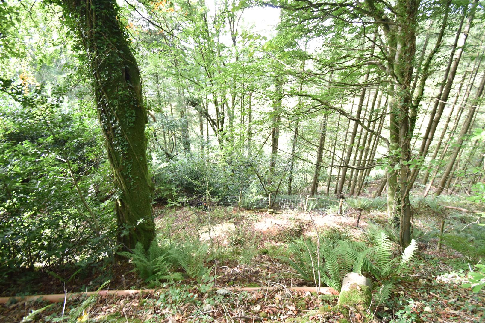 Photos of Llangranog Road, Rhydlewis, Llandysul SA44 62573875