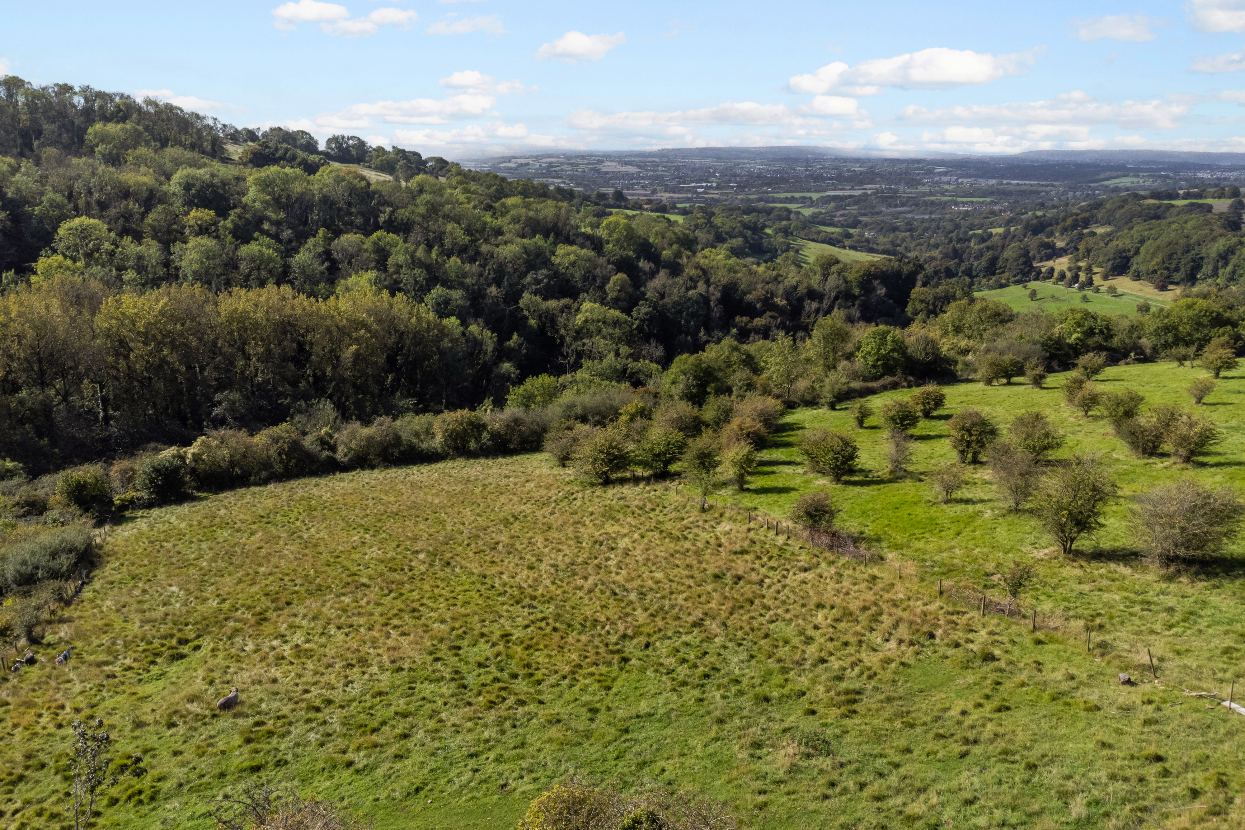 5 bedroom detached house for sale 0