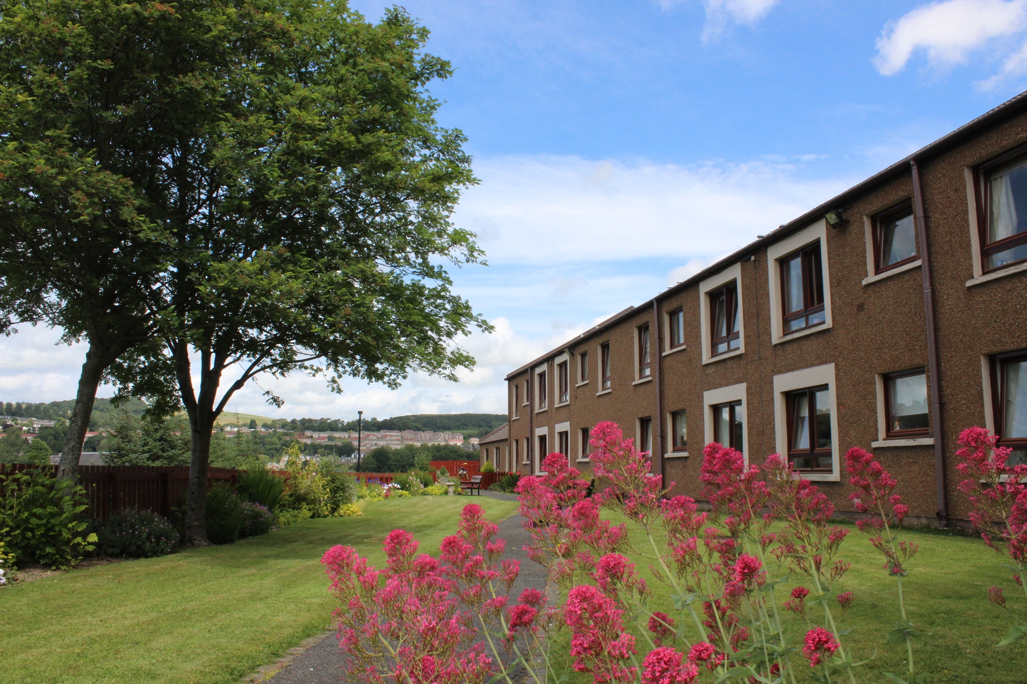 Douglas Haig Court, Hawick, Hawick photo 5