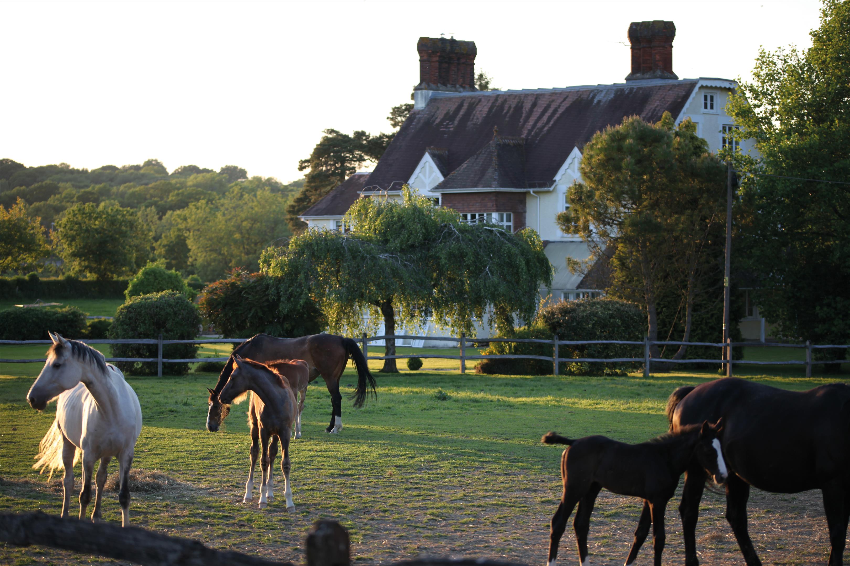 7 bedroom detached house for sale 0