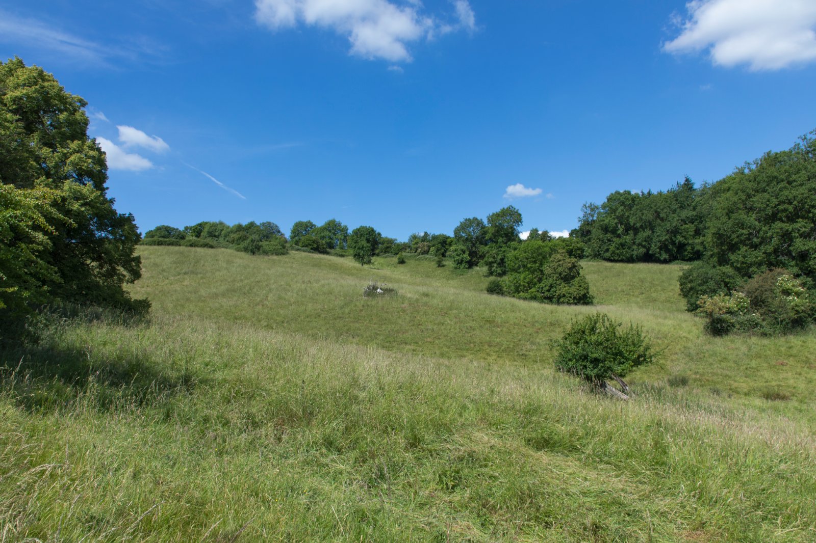 Photos of Upton RossOnWye, Herefordshire HR9 64515630