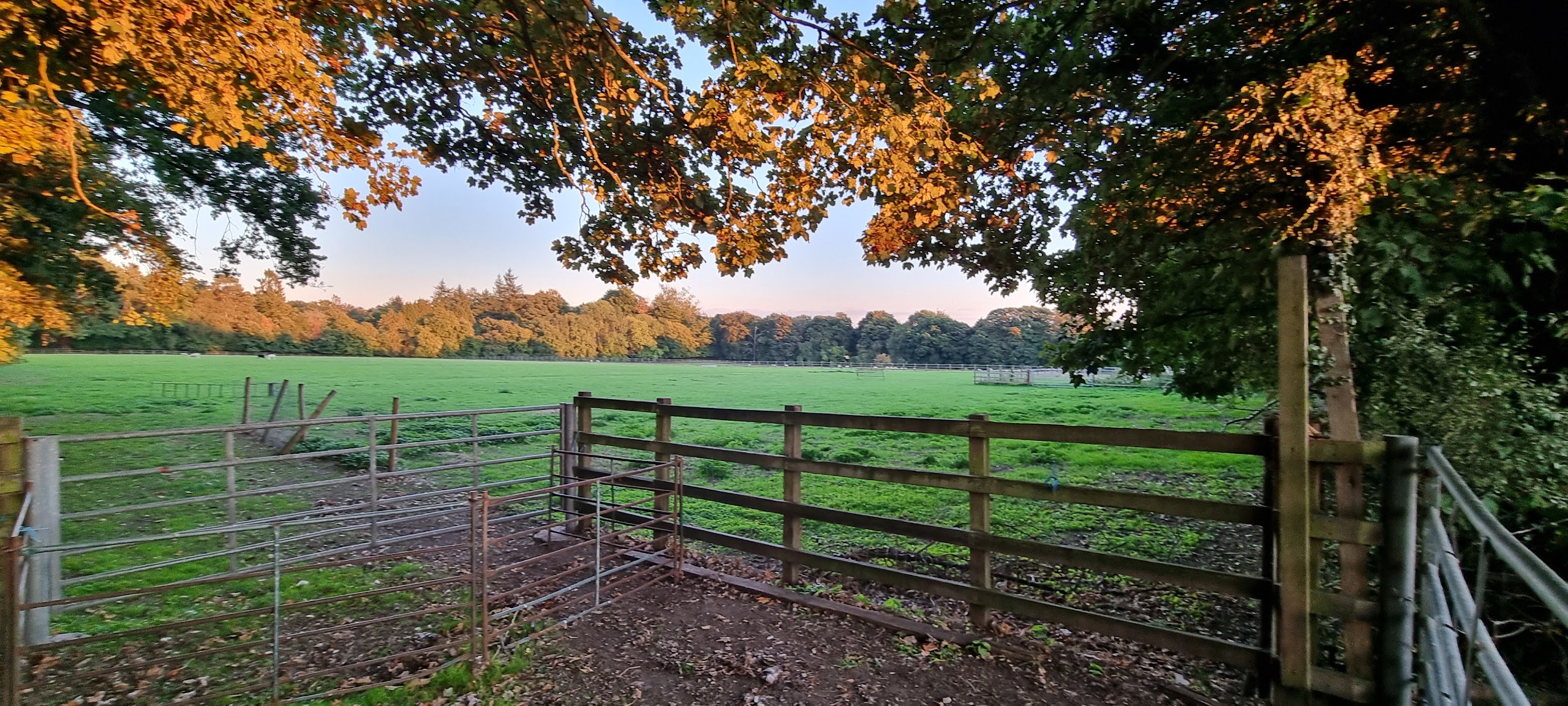 Glebe House, Welders Lane, Chalfont St. Peter, Gerrards Cross, SL9 8TU - listing photo