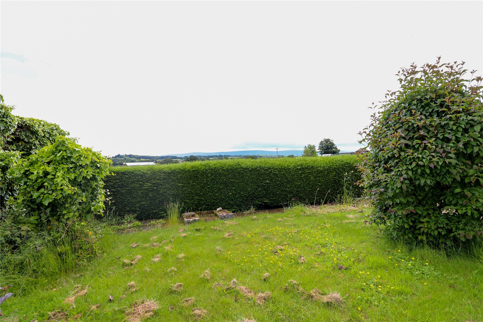 Photos of Hilldale, Wetheral Pasture, Carlisle, Cumbria CA4 61663817