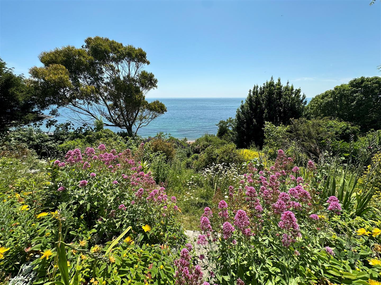 Photos of Belgrave Road, Ventnor PO38 66496610 PrimeLocation