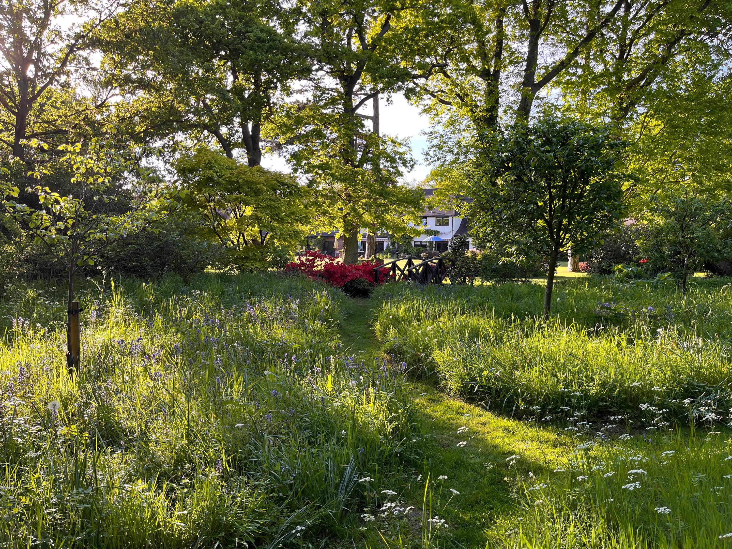 Photos of Fox Corner, Worplesdon, Guildford, Surrey GU3. 66707914