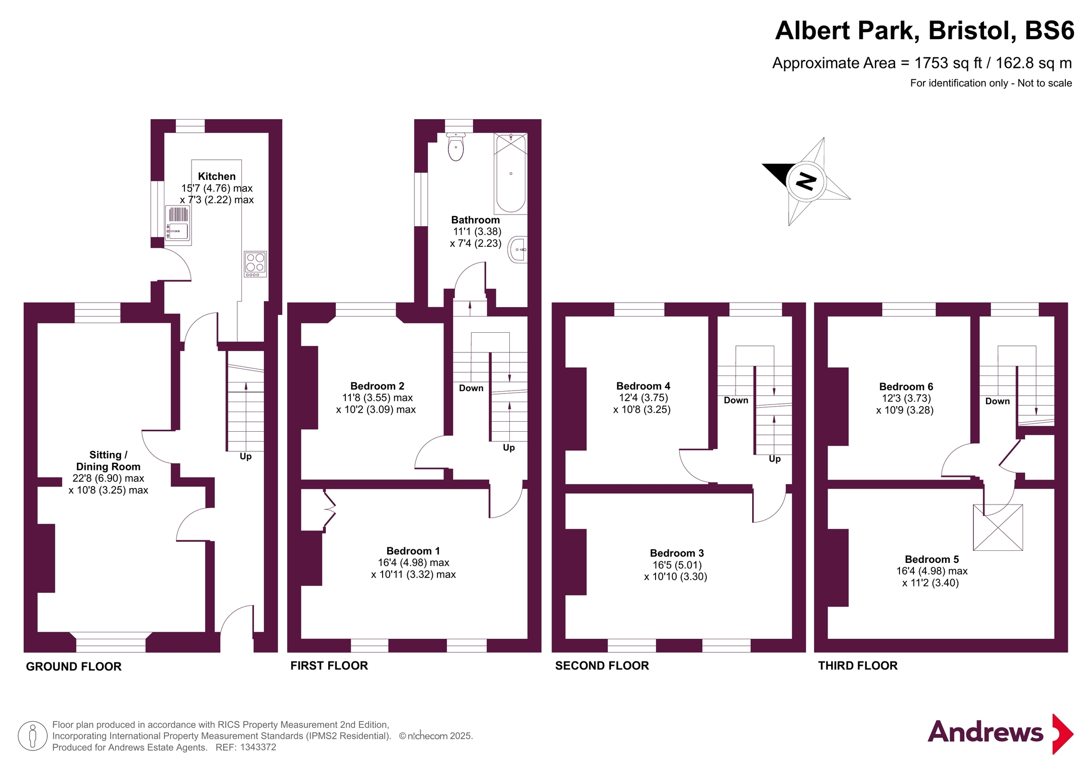 Albert Park, Bristol, BS6 floorplan